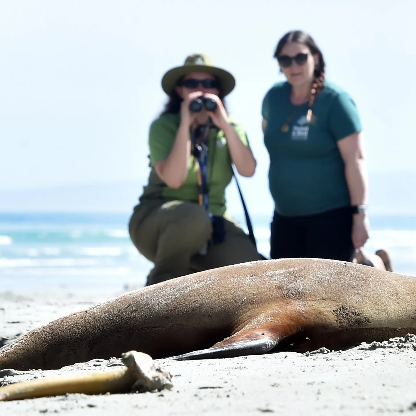 Seal of approval for local beaches