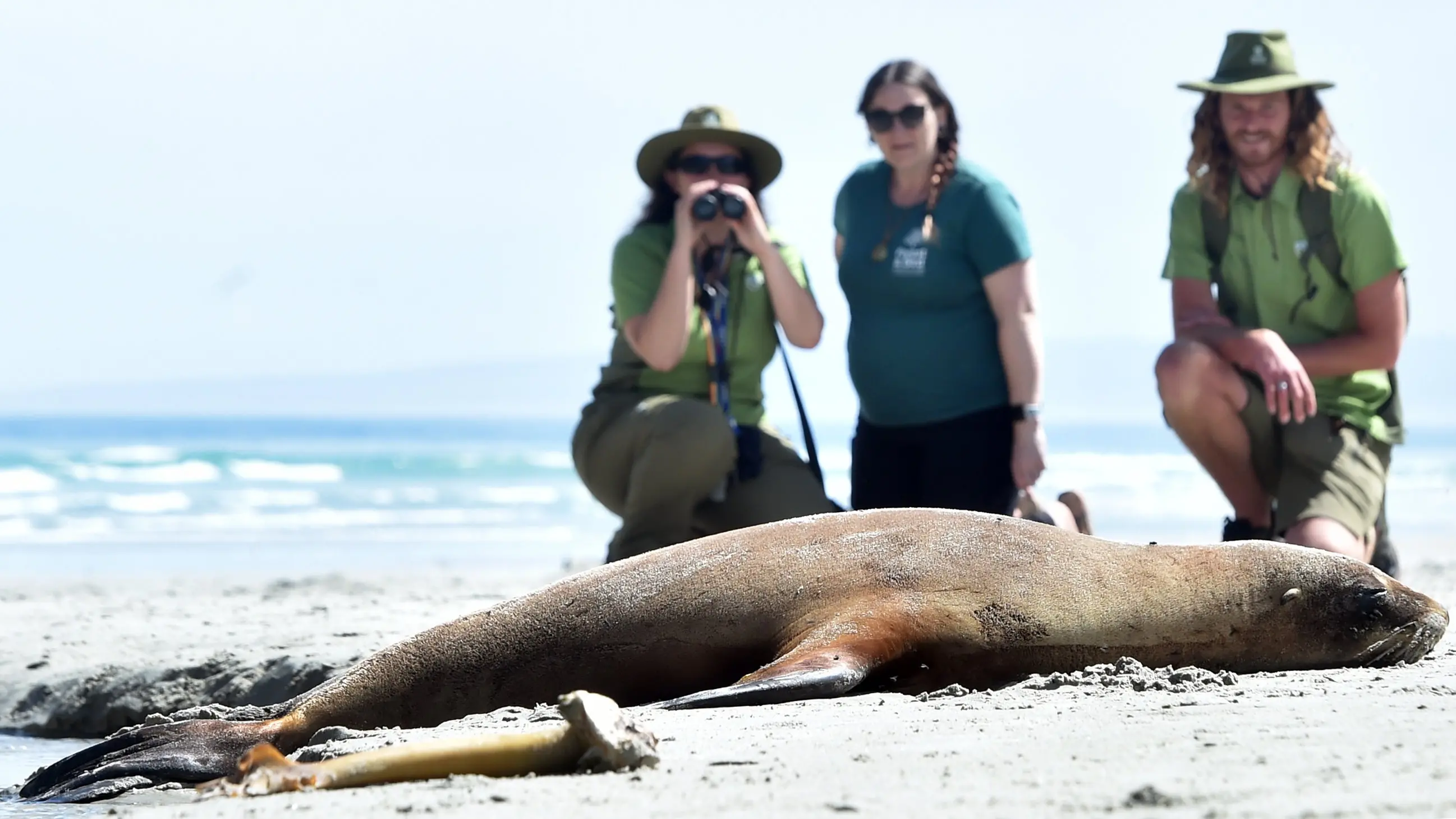 Seal of approval for local beaches