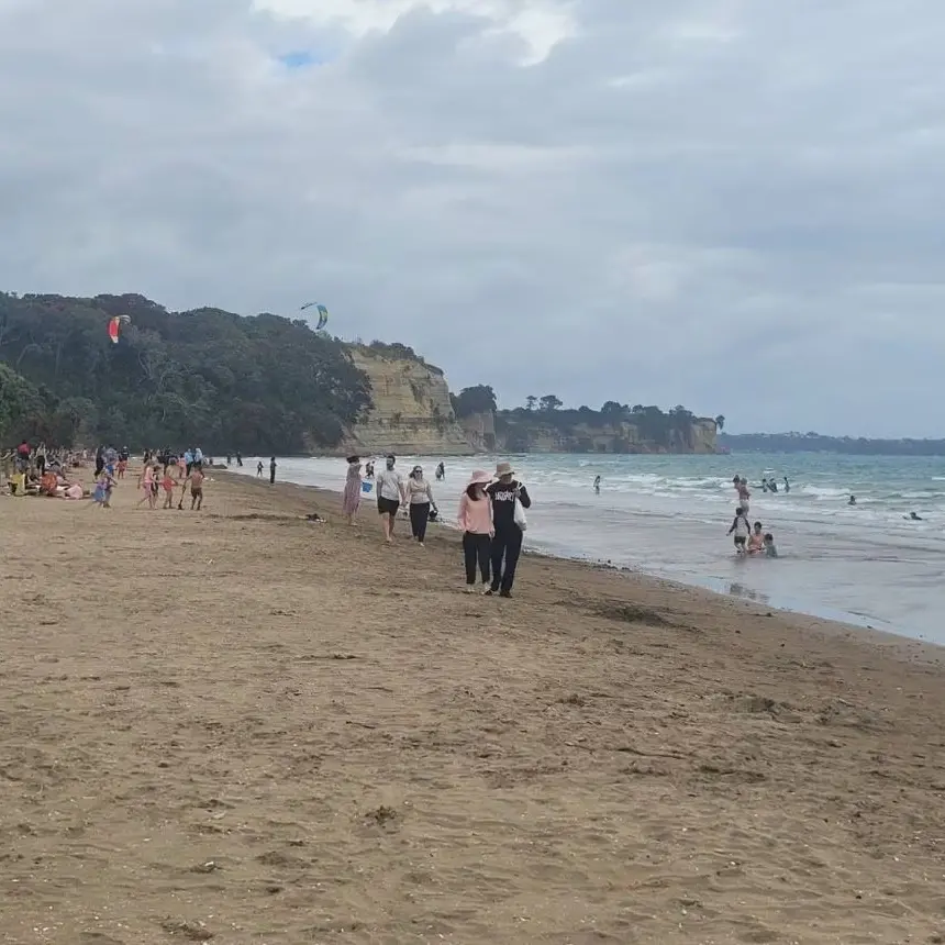 Shark spotted at Auckland beach, dozens exit water