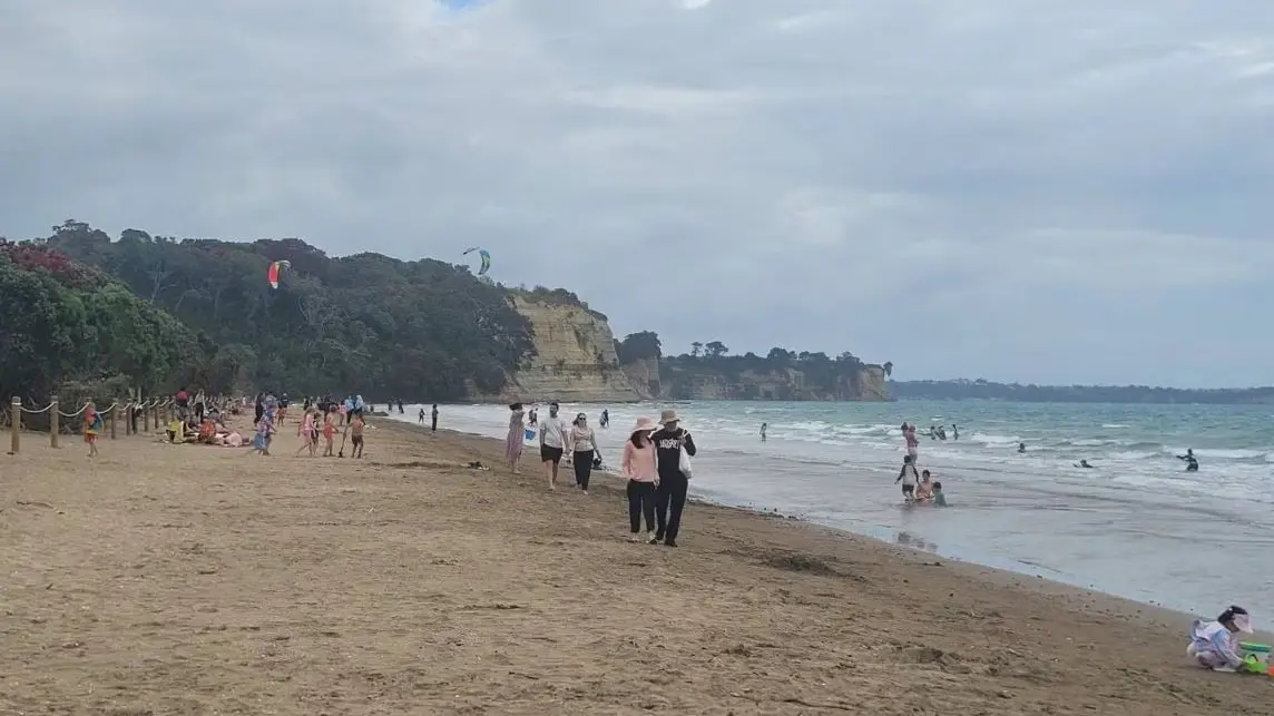 Shark spotted at Auckland beach, dozens exit water
