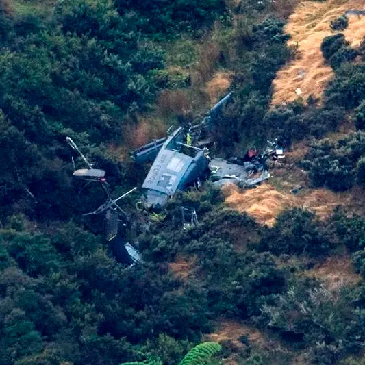 Helicopter crash victims named