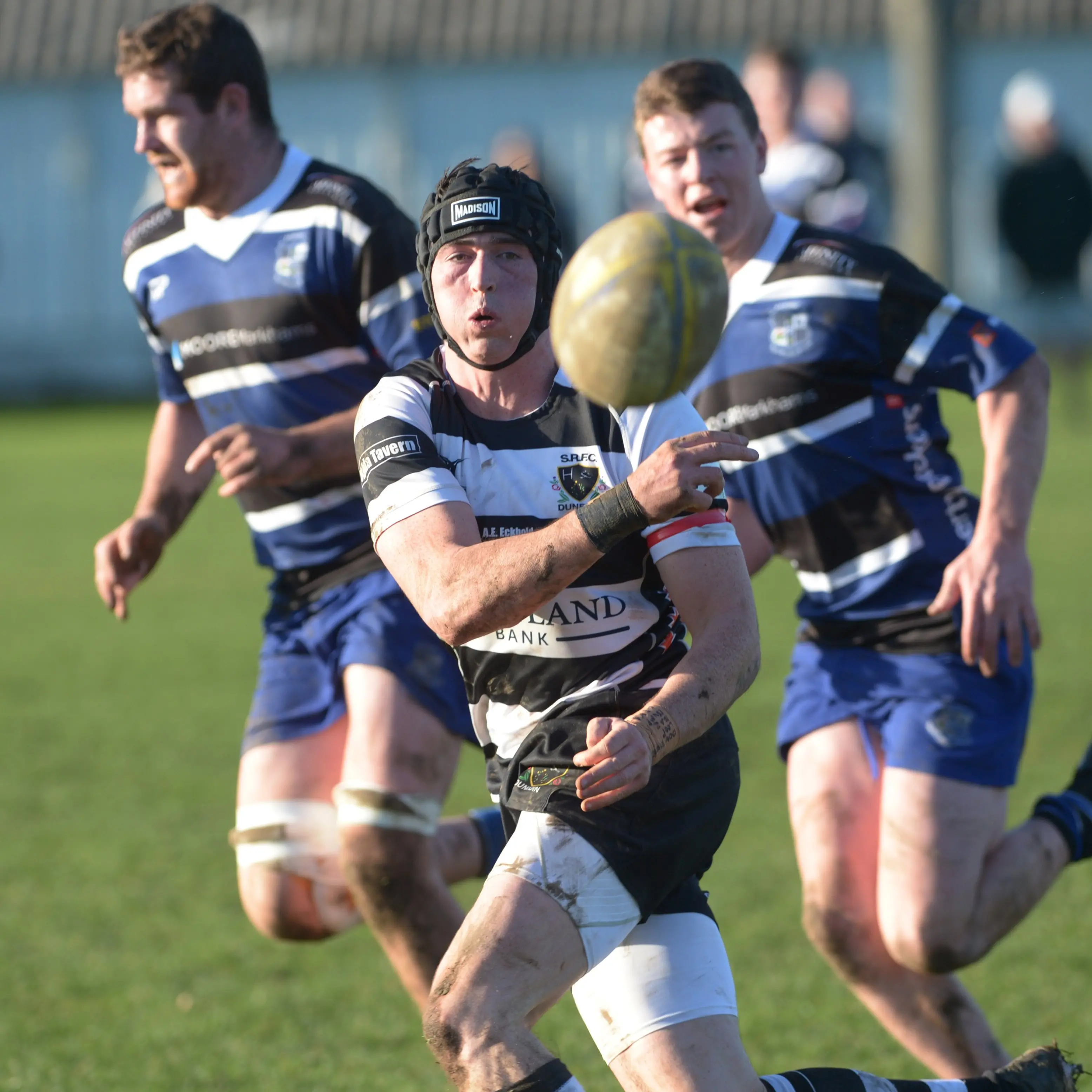 Dwyer: Otago taking on an Aussie? Is that fair dinkum?