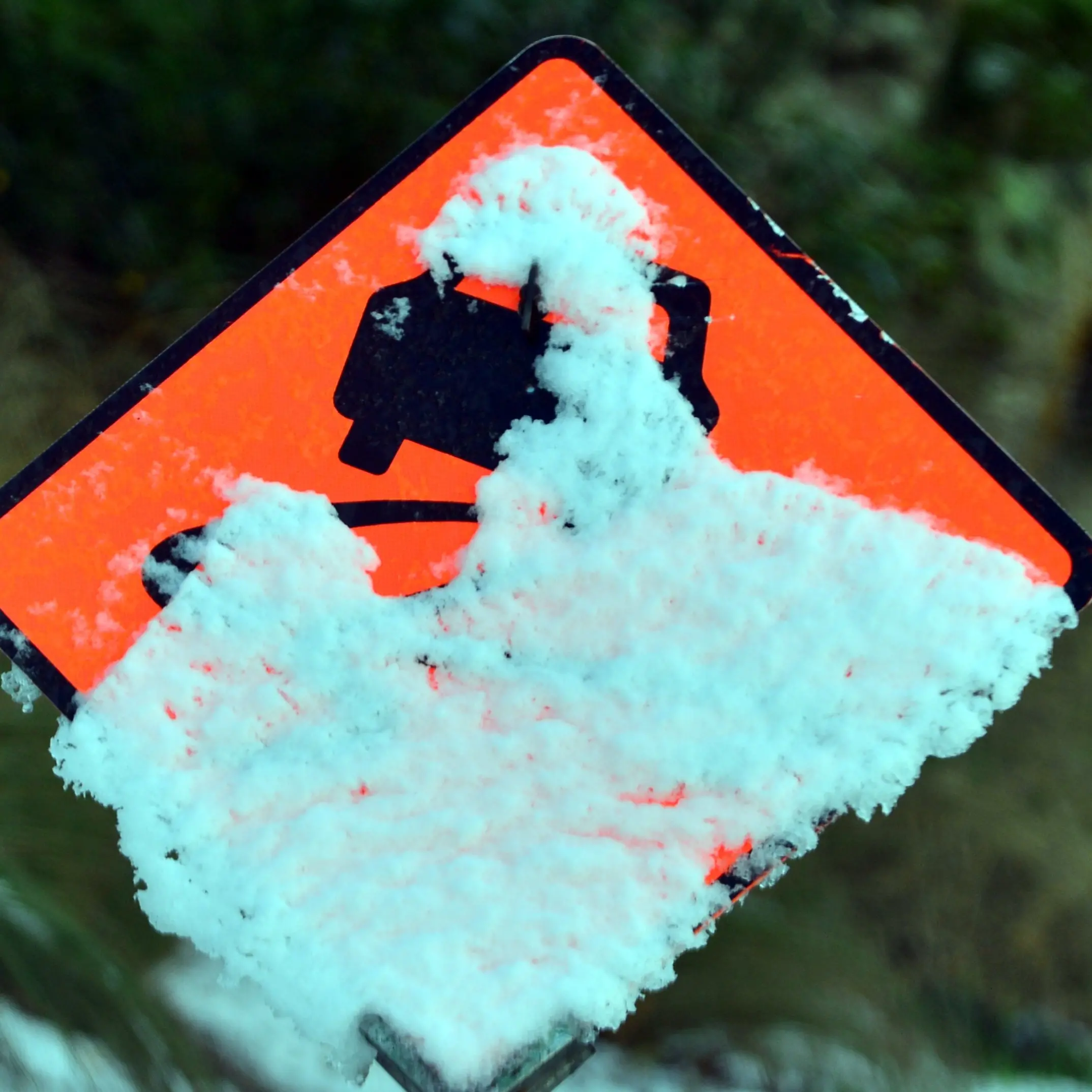 Wintry blast set to batter South Island