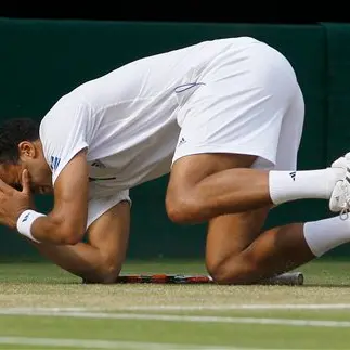 Tennis: Federer falls in Wimbledon quarters