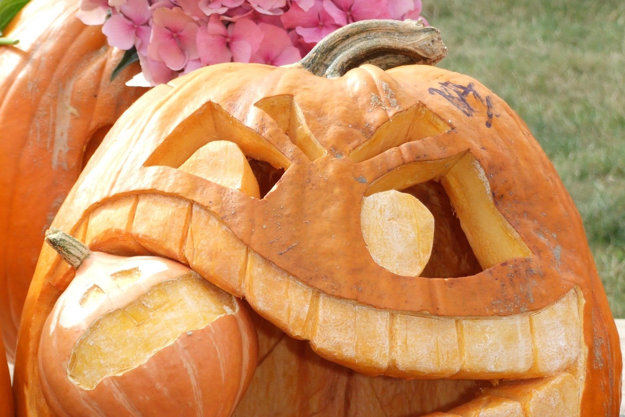Gourdness gracious