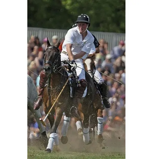 Prince Harry to play in US charity polo match