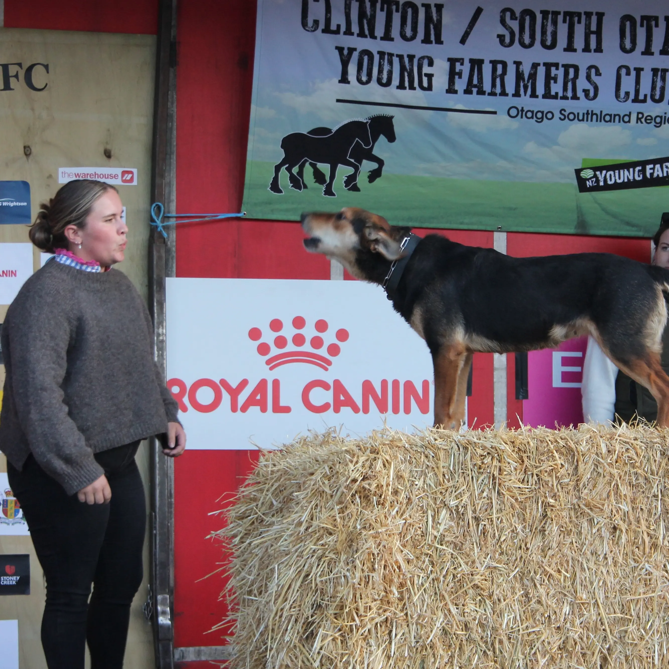Barking up a storm for a good cause