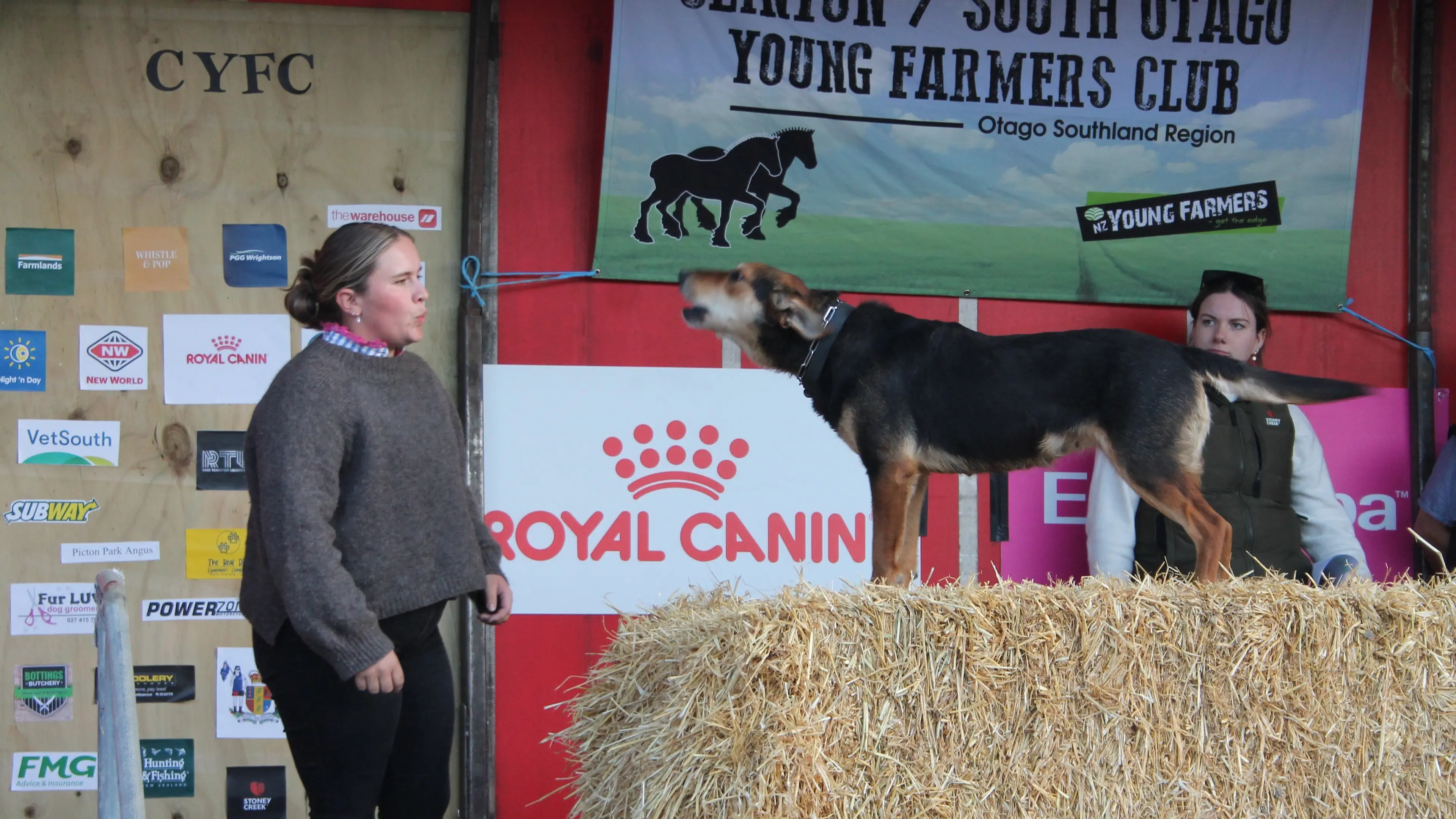 Barking up a storm for a good cause