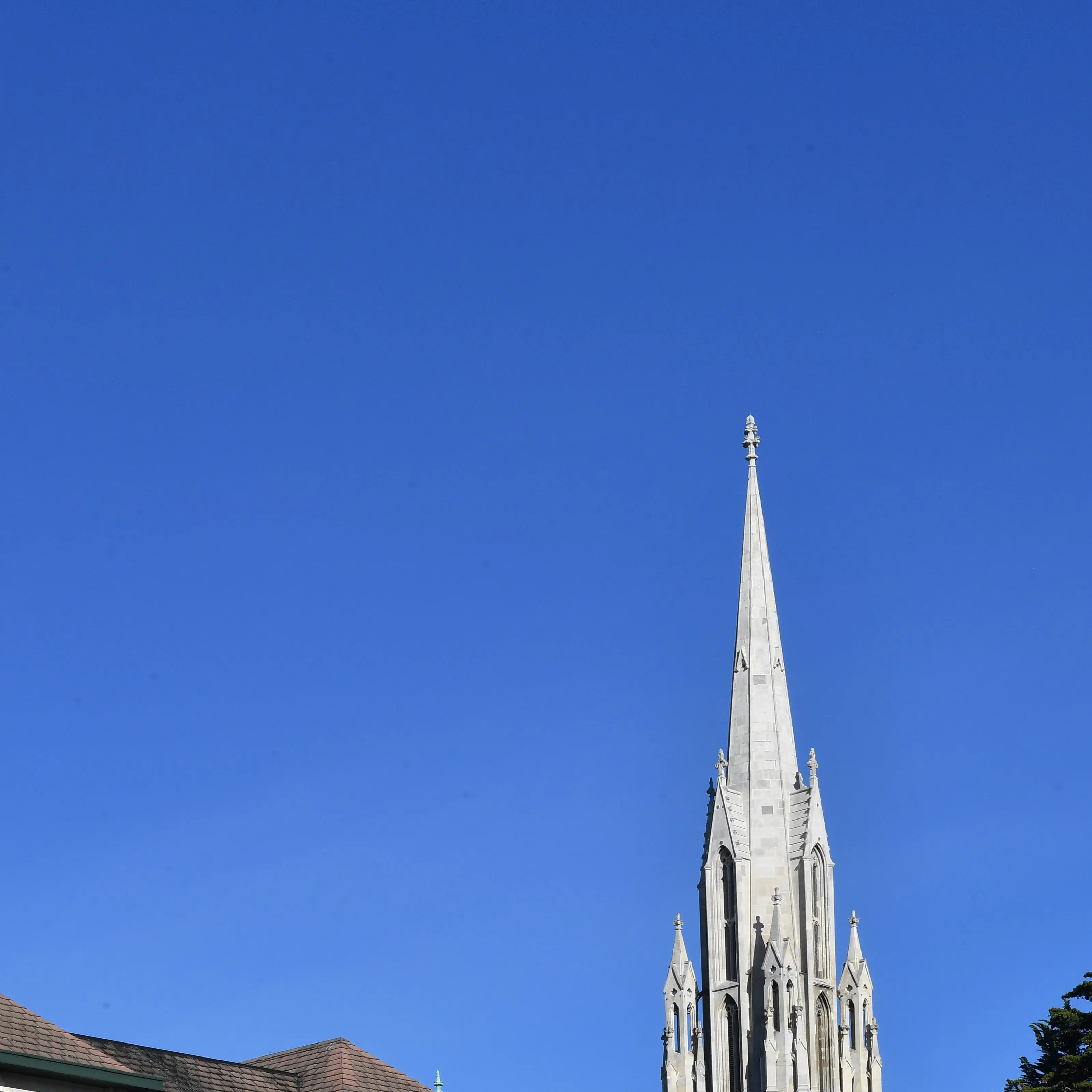 Church apologises but distances itself from abuse