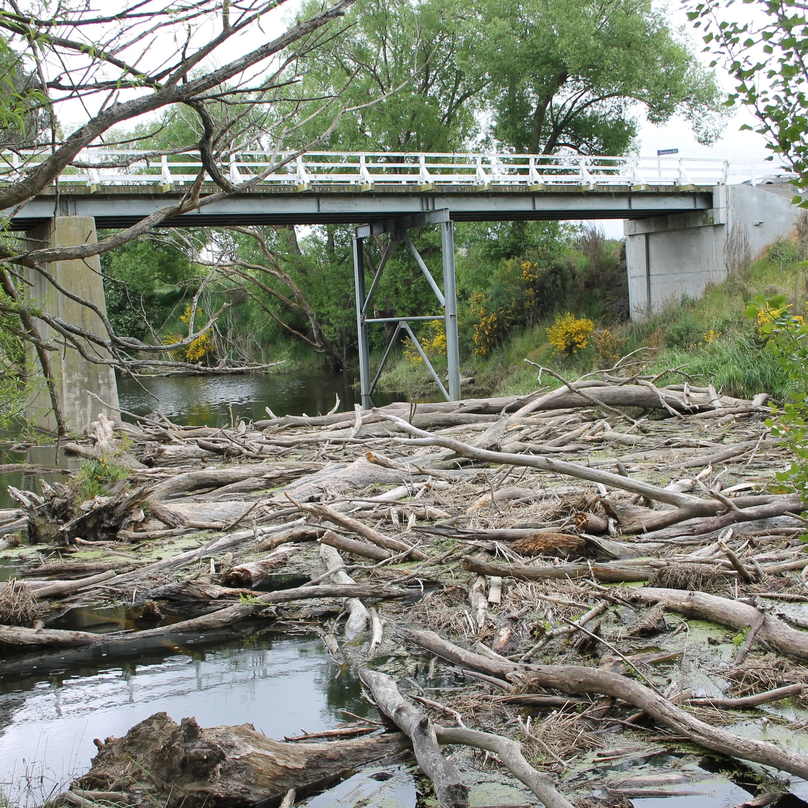 Concern about build-up near bridge