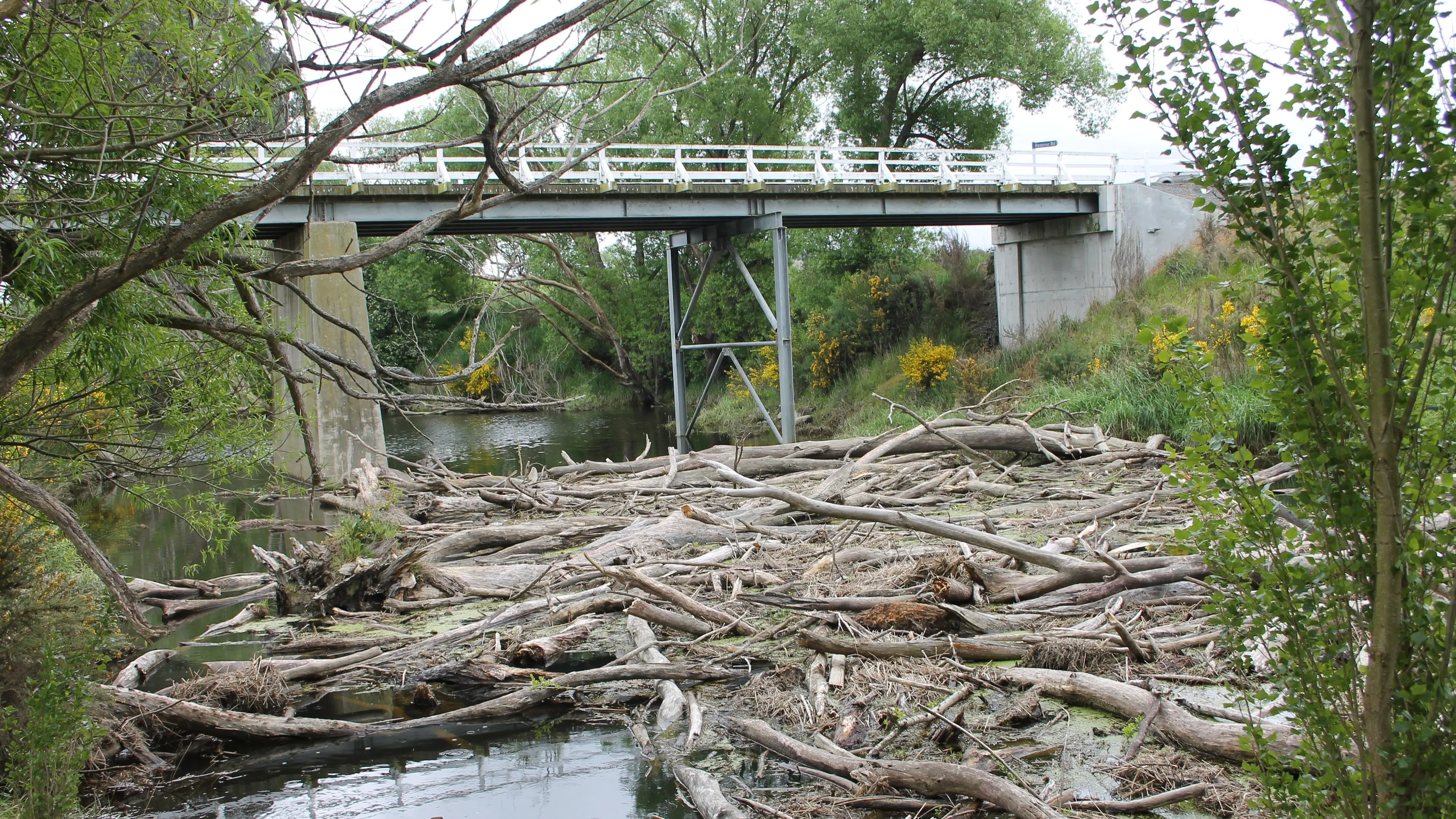 Concern about build-up near bridge