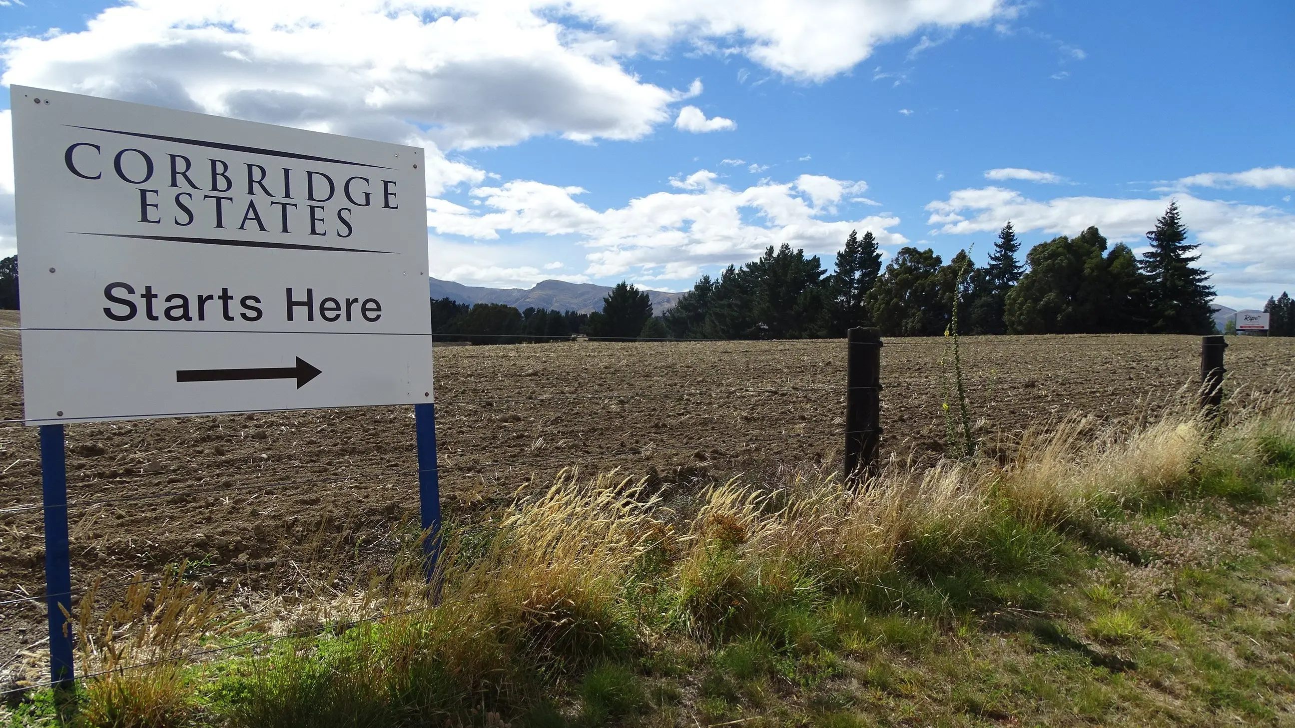 Prime property’s purpose to be revealed