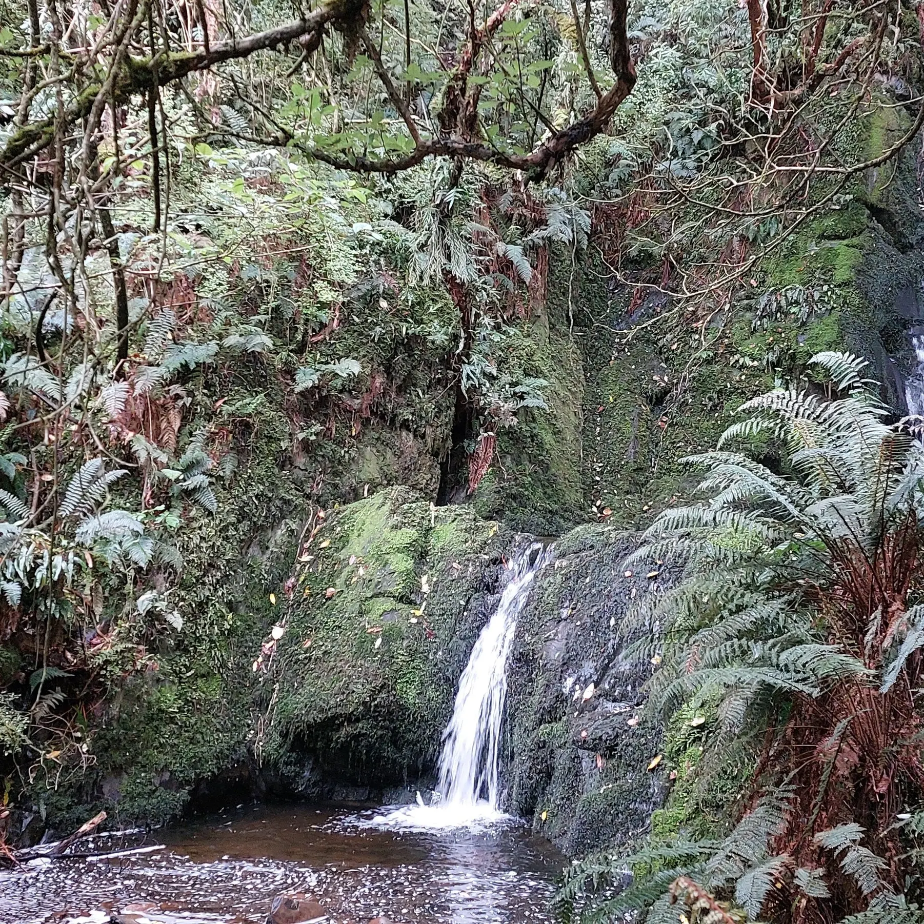 The glory of Dolamore Park