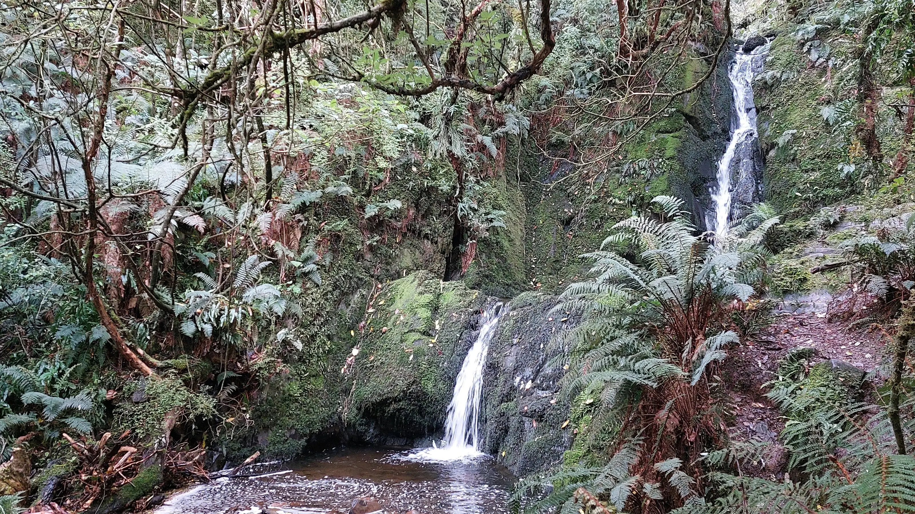 The glory of Dolamore Park