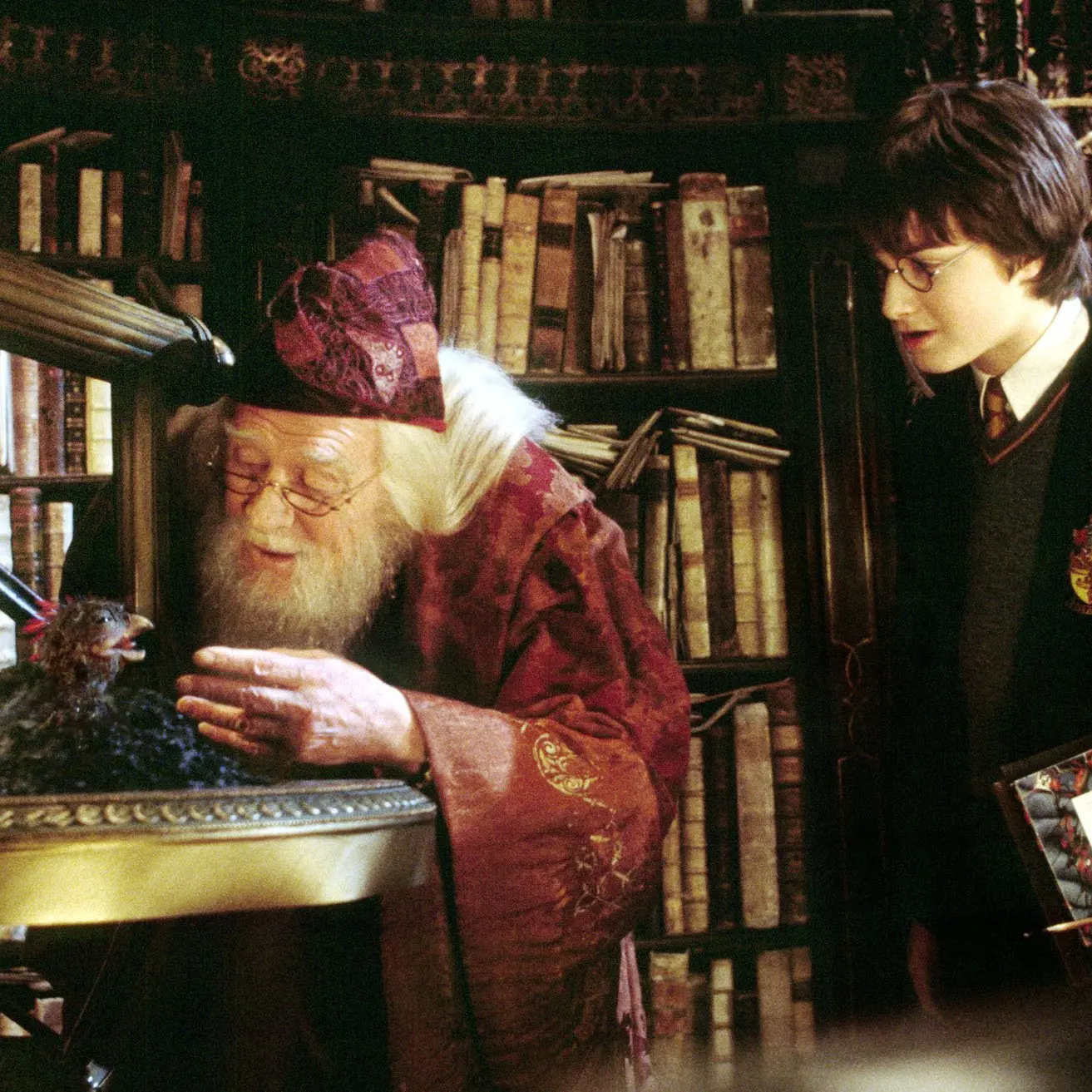 Harry Potter theories keep on giving to new and old alike