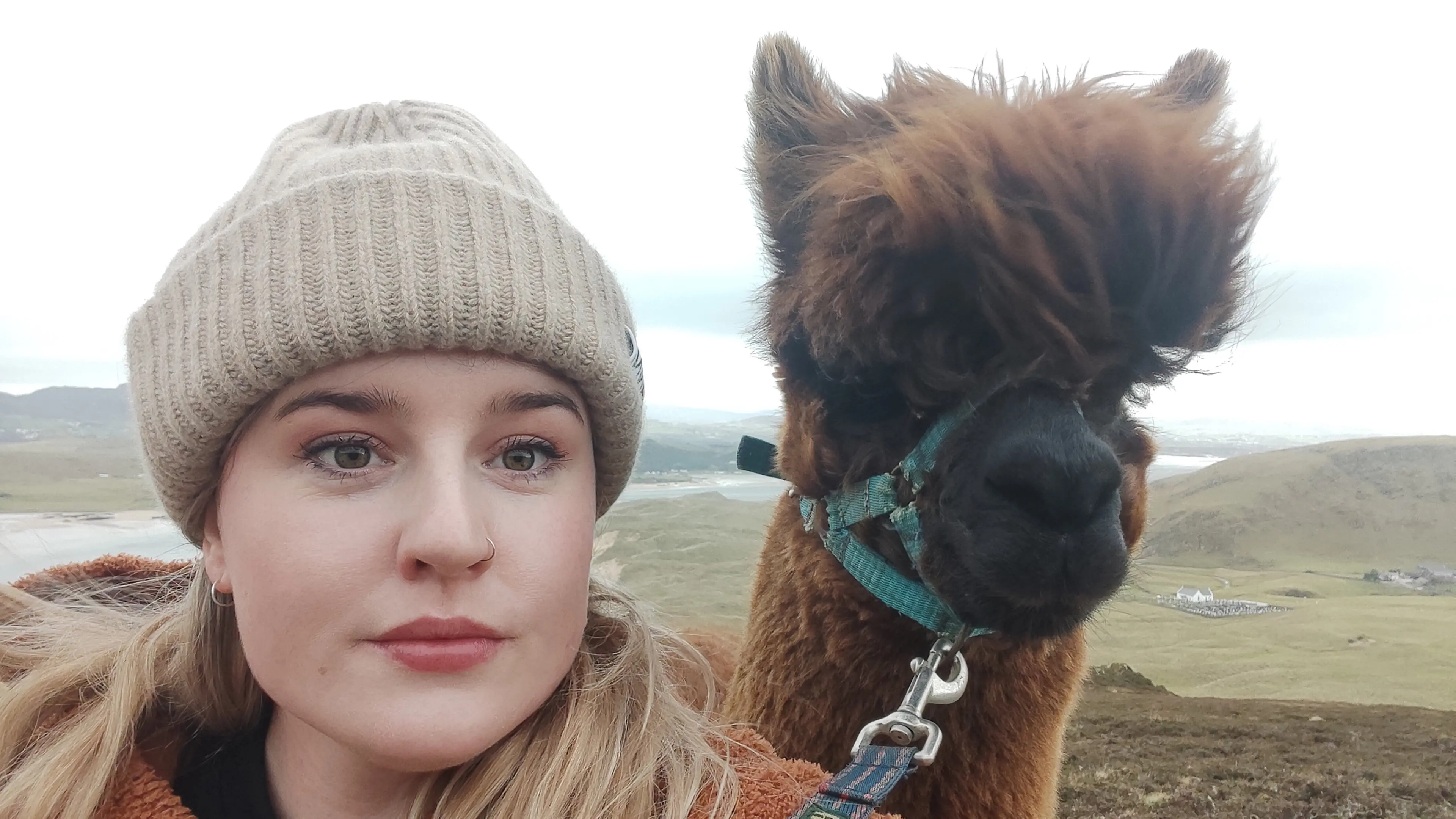 Fluffy fun strolling in distant Donegal