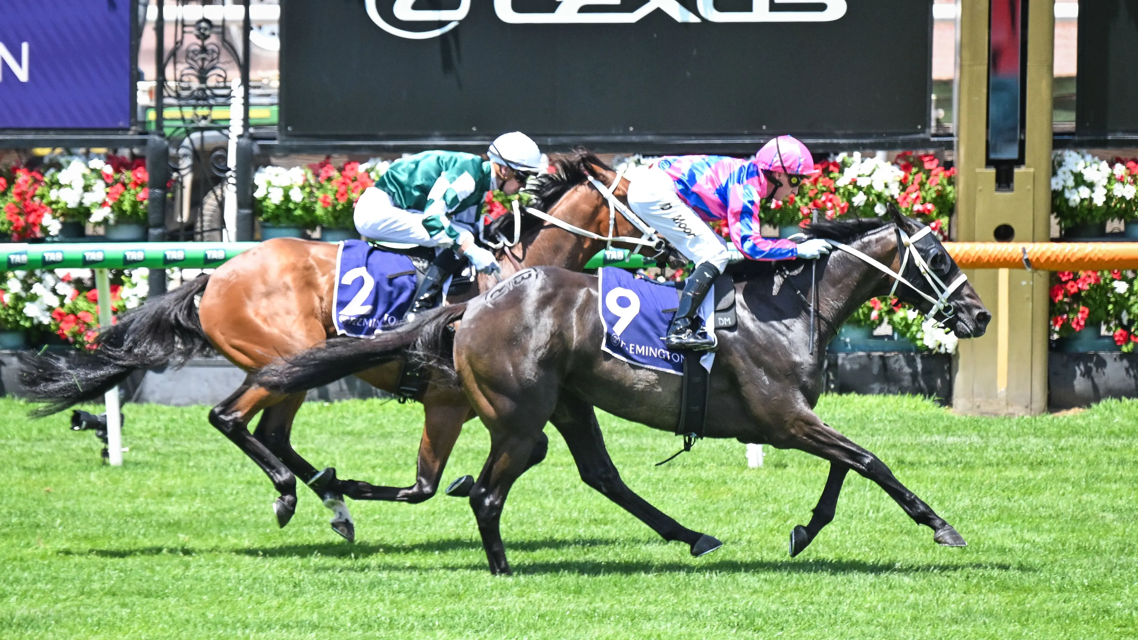 Expat Kiwi trainers hoping for case of third time lucky