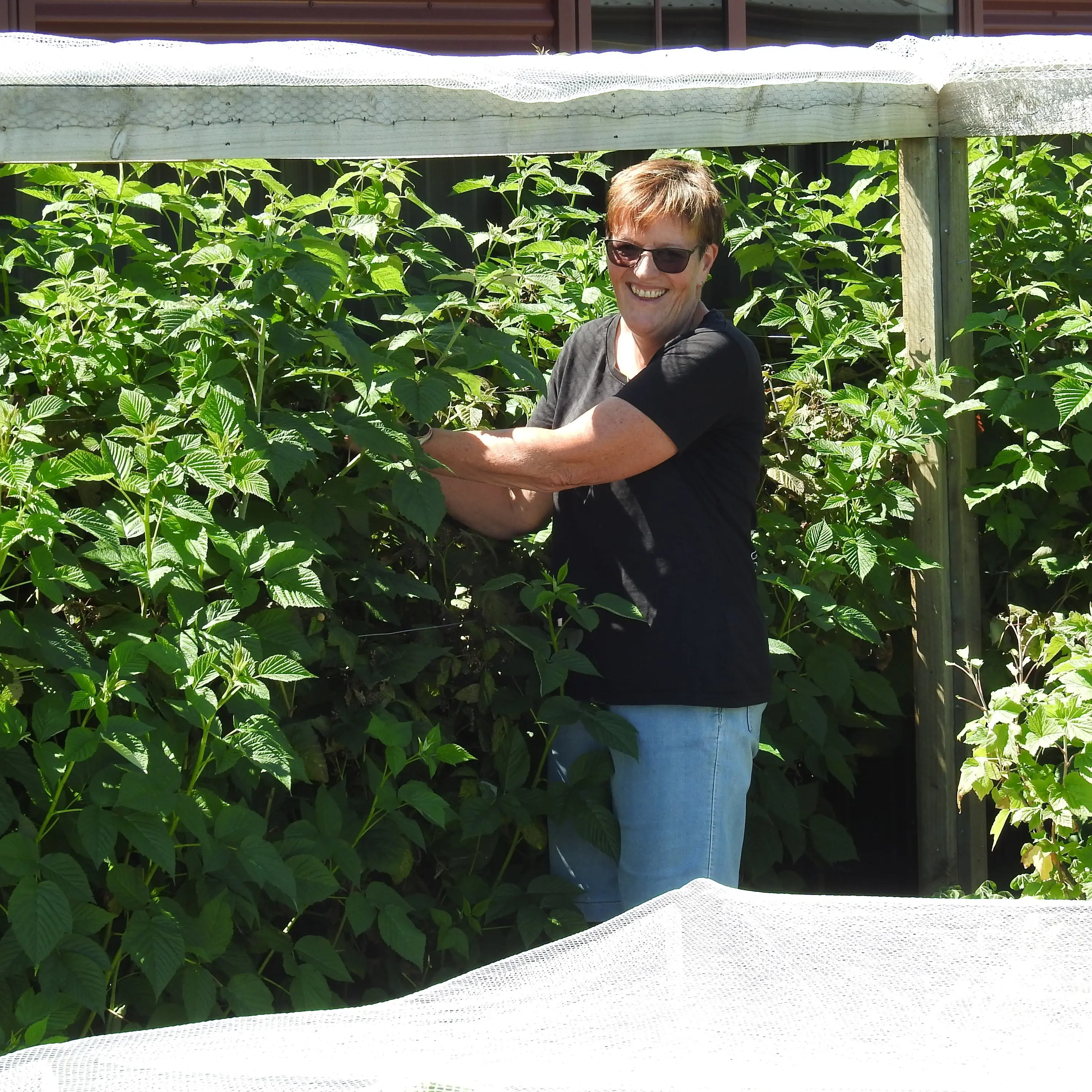 No shortage of treats in edible garden