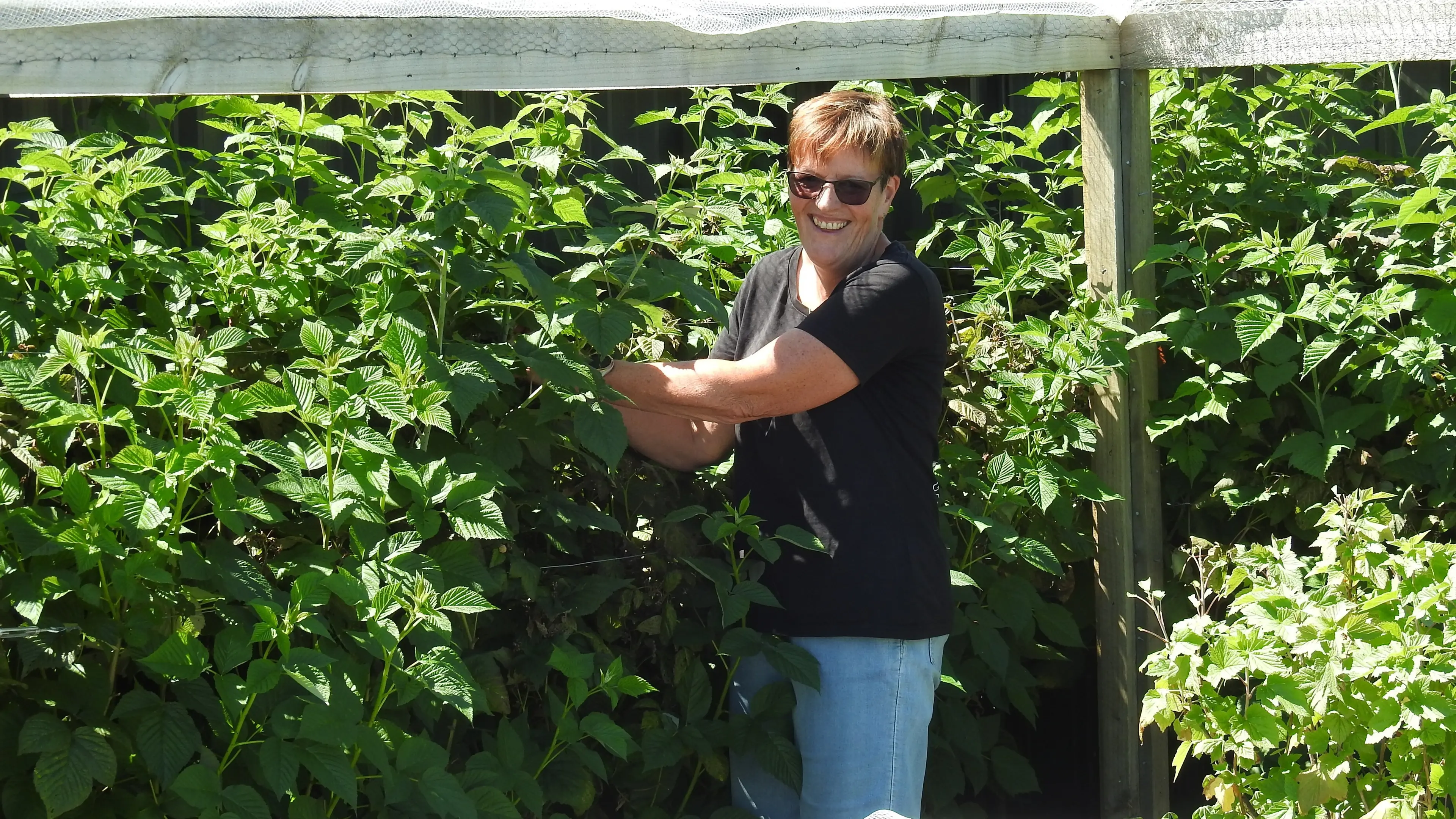 No shortage of treats in edible garden