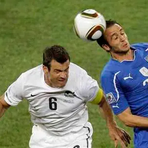 Football: Nelsen misses training with 'tummy problem'