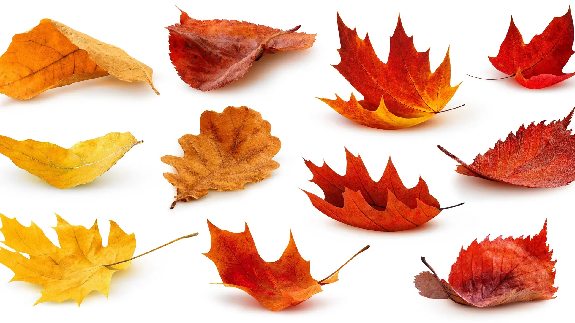 Embracing the seasons of life