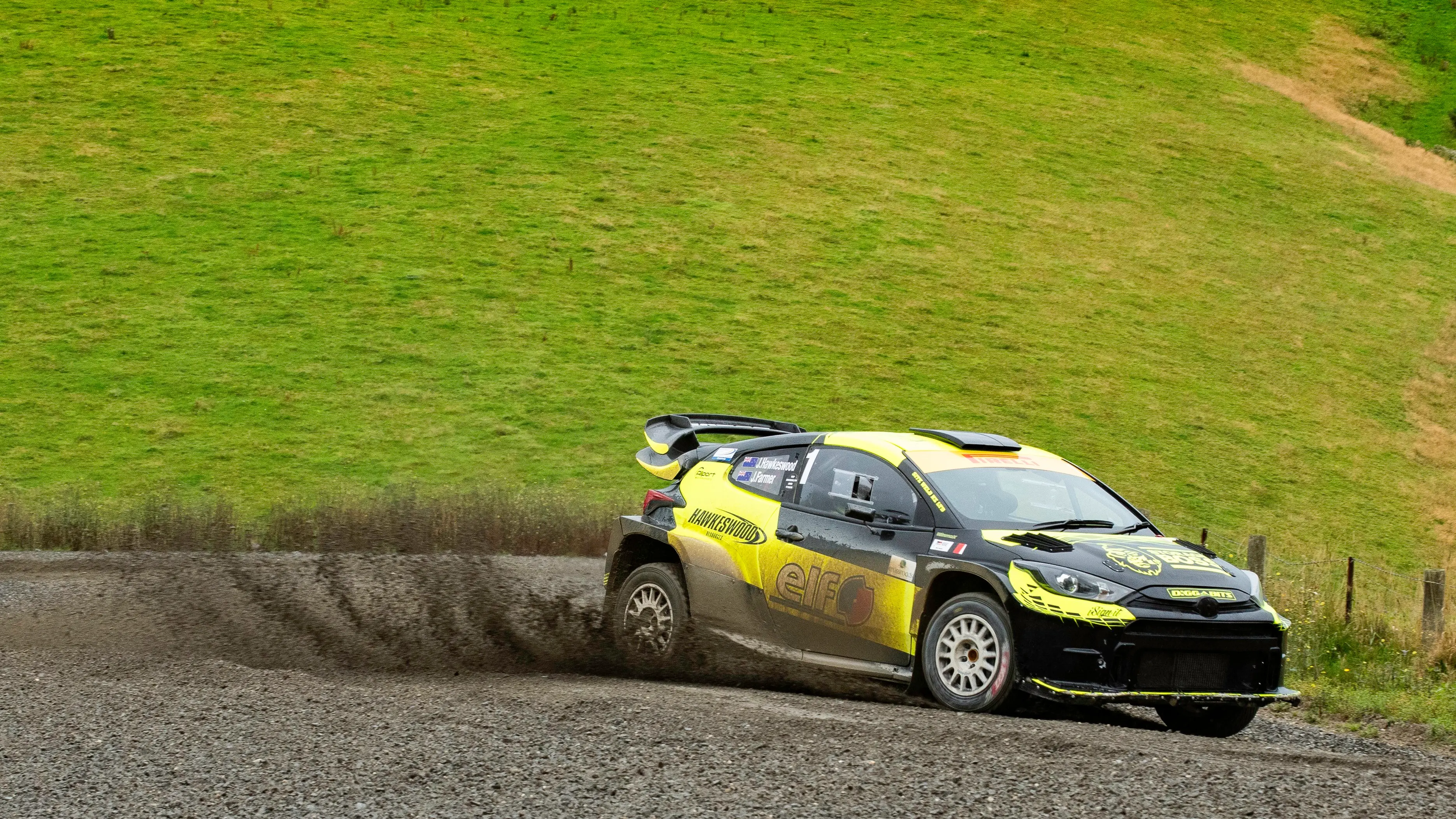 Contenders galore in 2025 rally