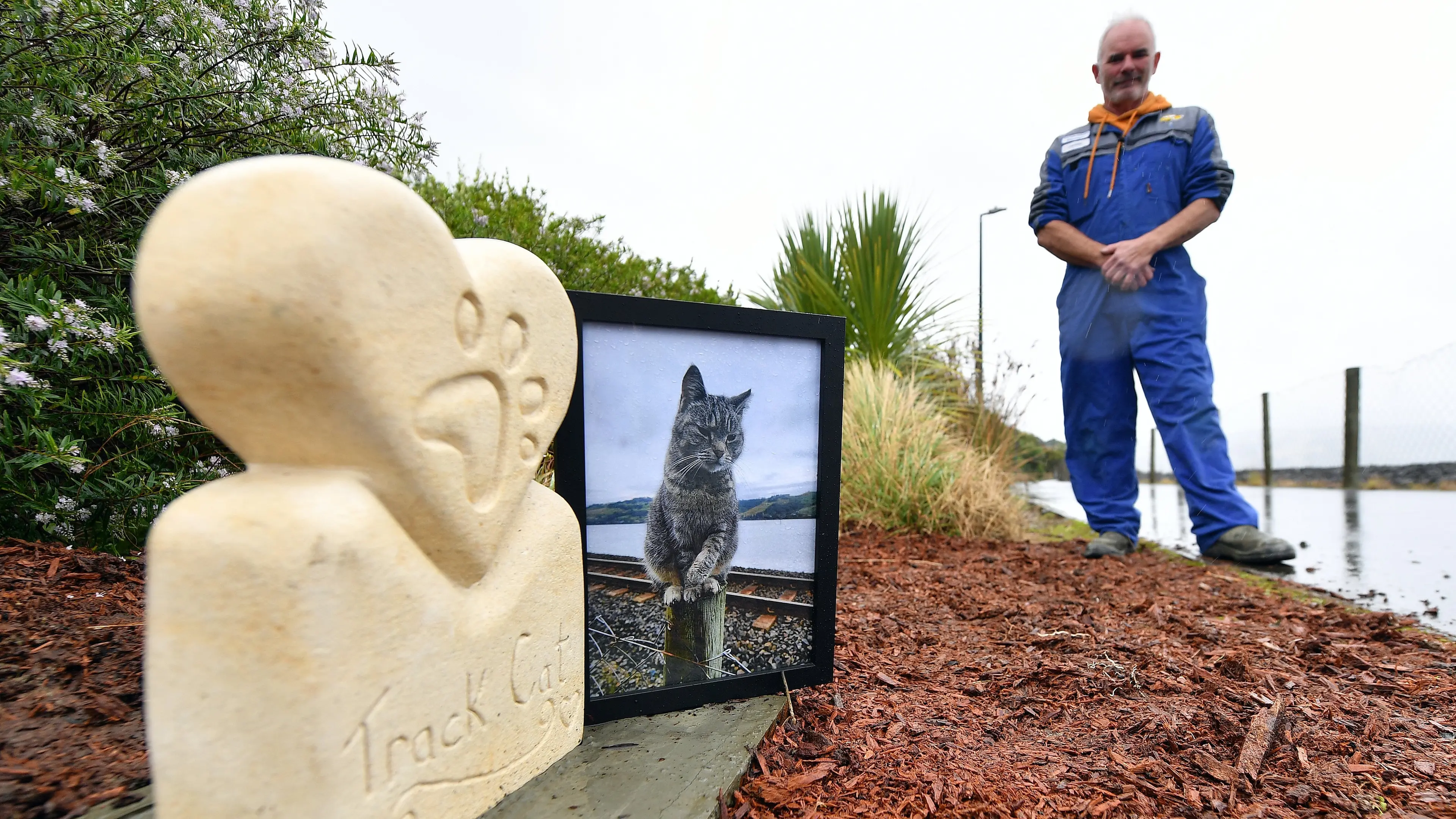 Well-loved cat immortalised in stone on cycleway