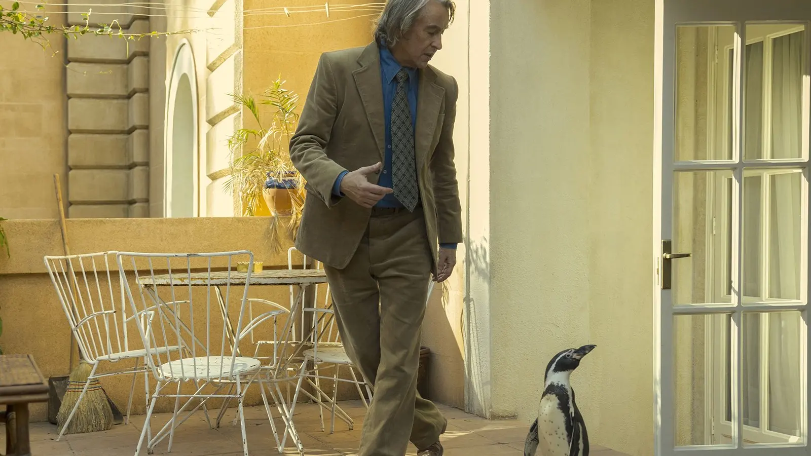 Lessons to be learned from scene-stealing penguin