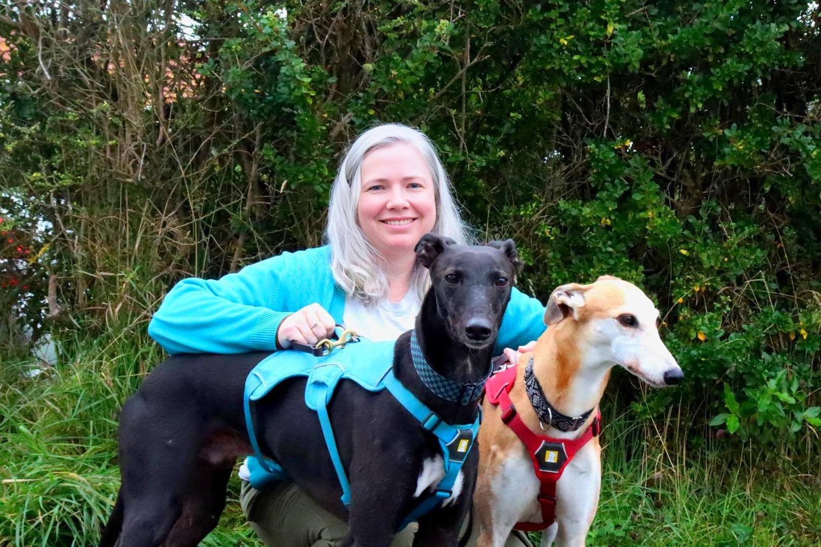 Huge project to rehome retired racing dogs