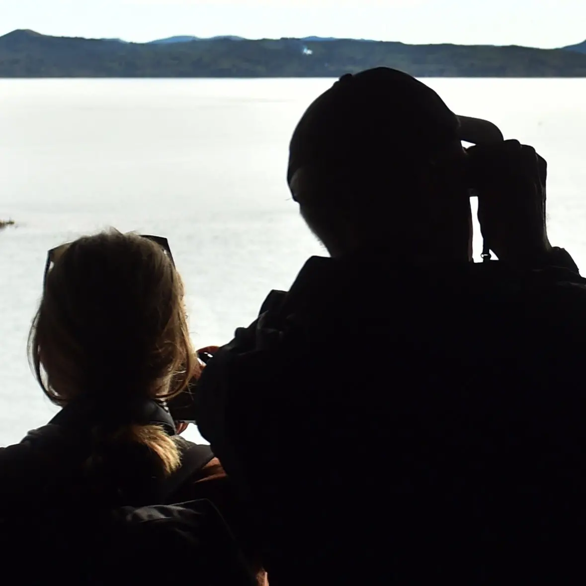 Better sea bird protection sought amid ‘crisis’