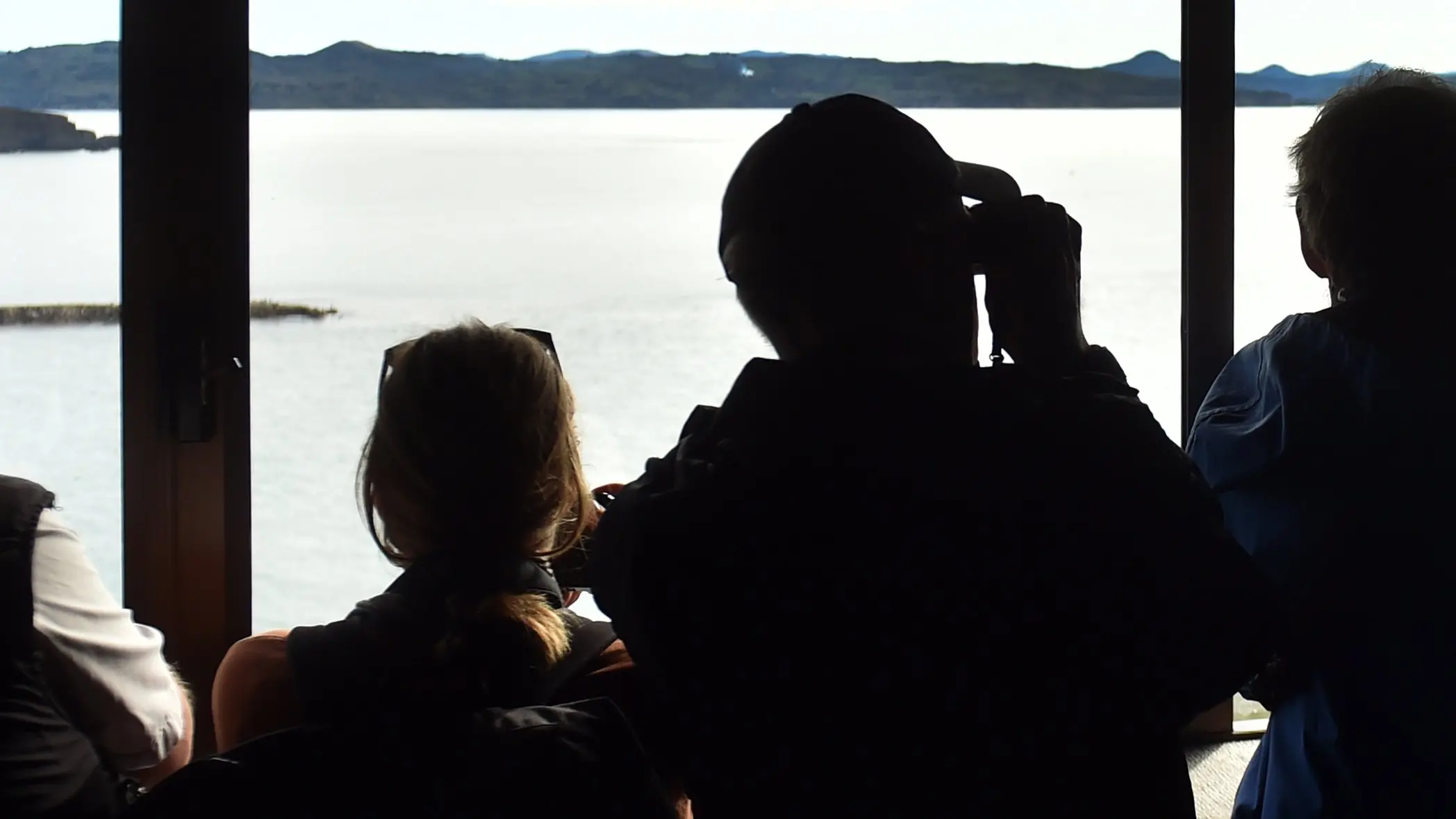 Better sea bird protection sought amid ‘crisis’