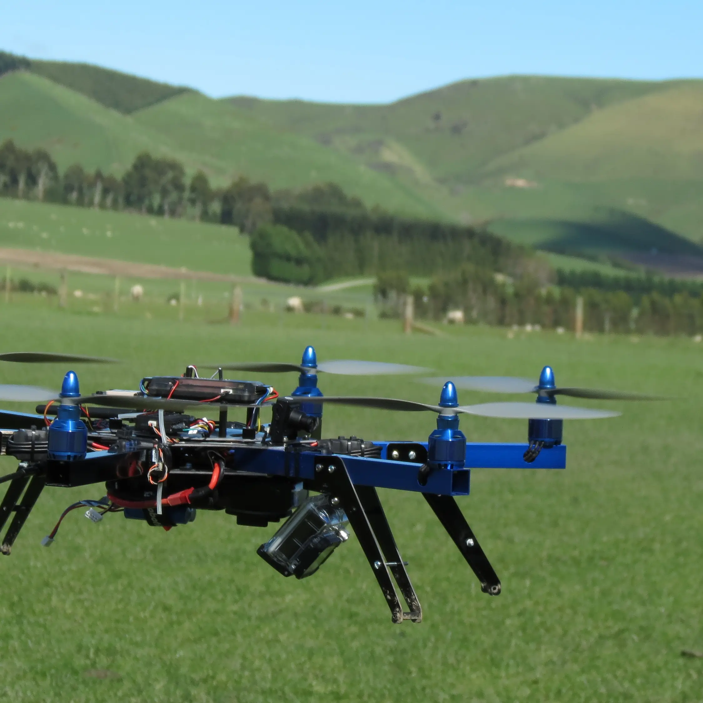Drones can be worker bees too