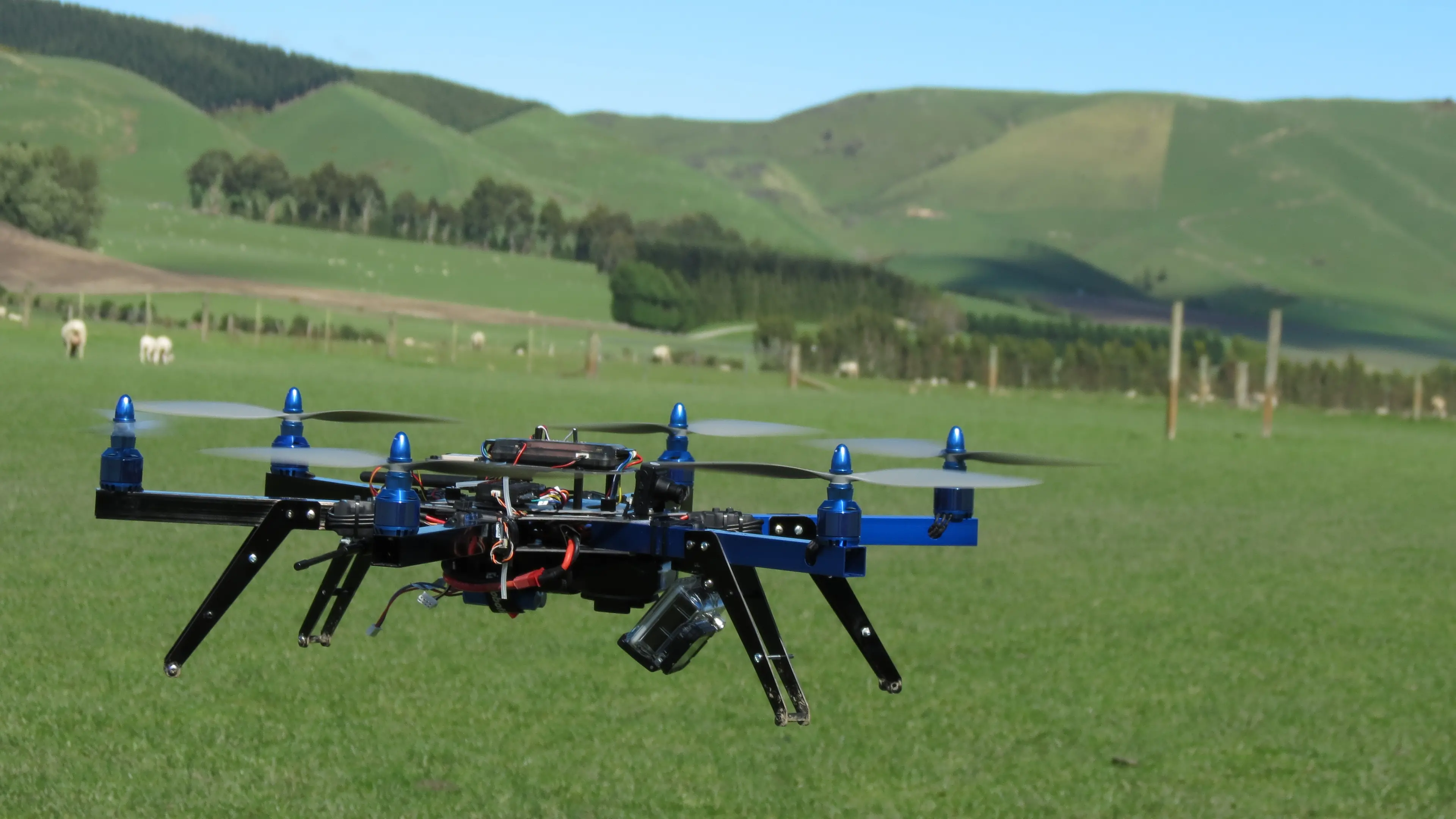 Drones can be worker bees too