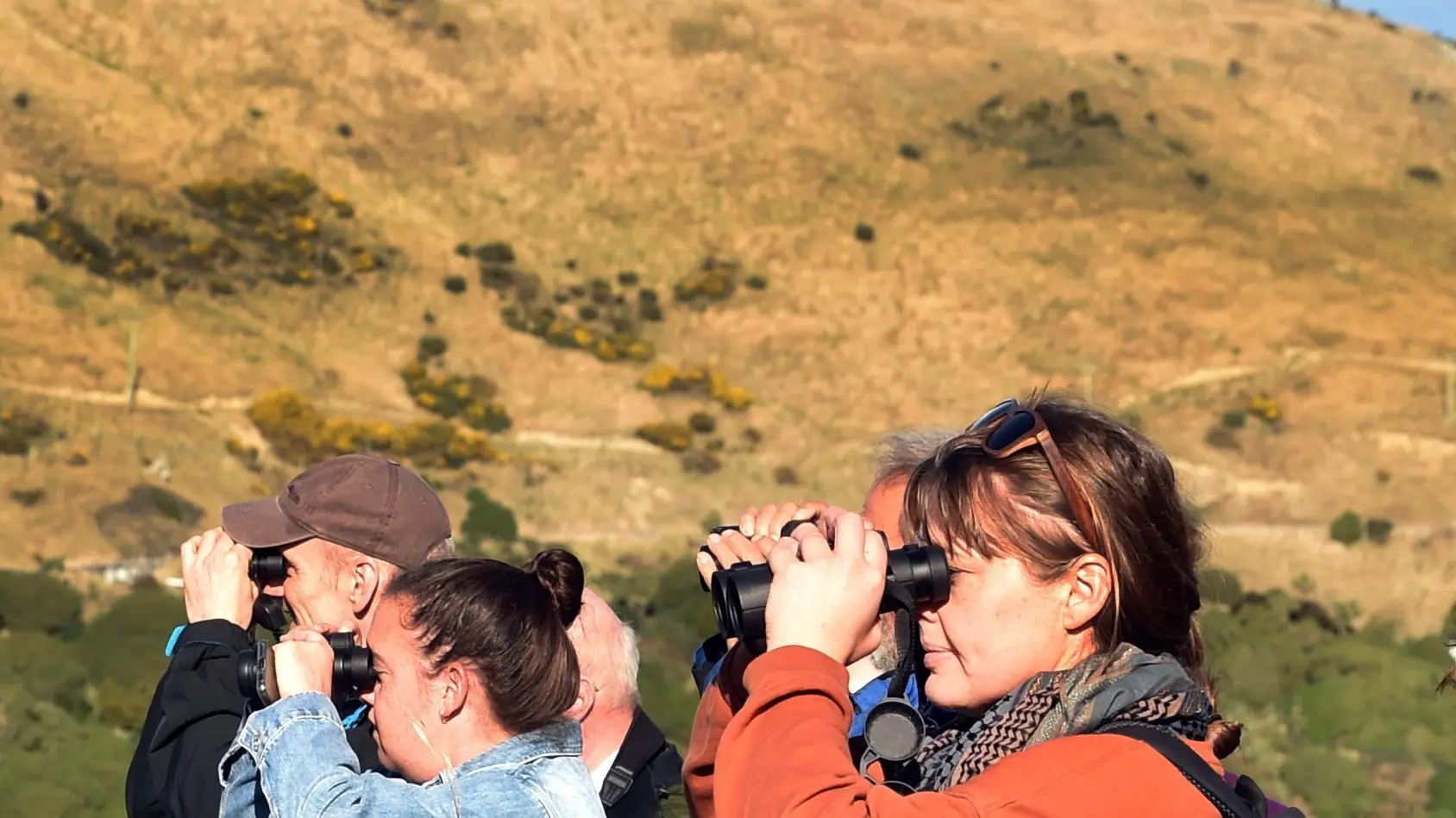 Countries agree on seabird protection