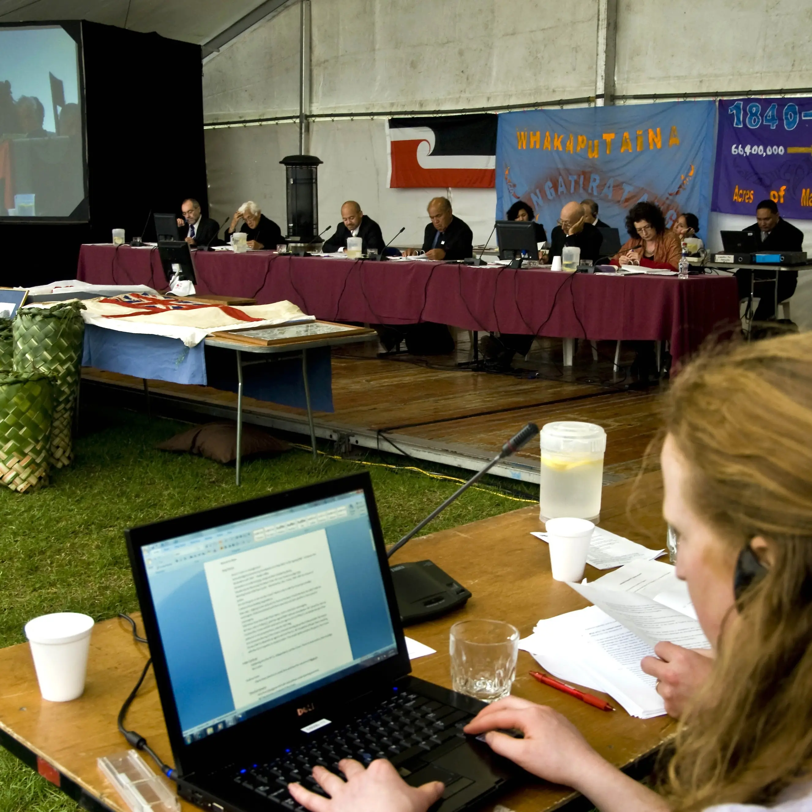 What is the future for the Waitangi Tribunal?