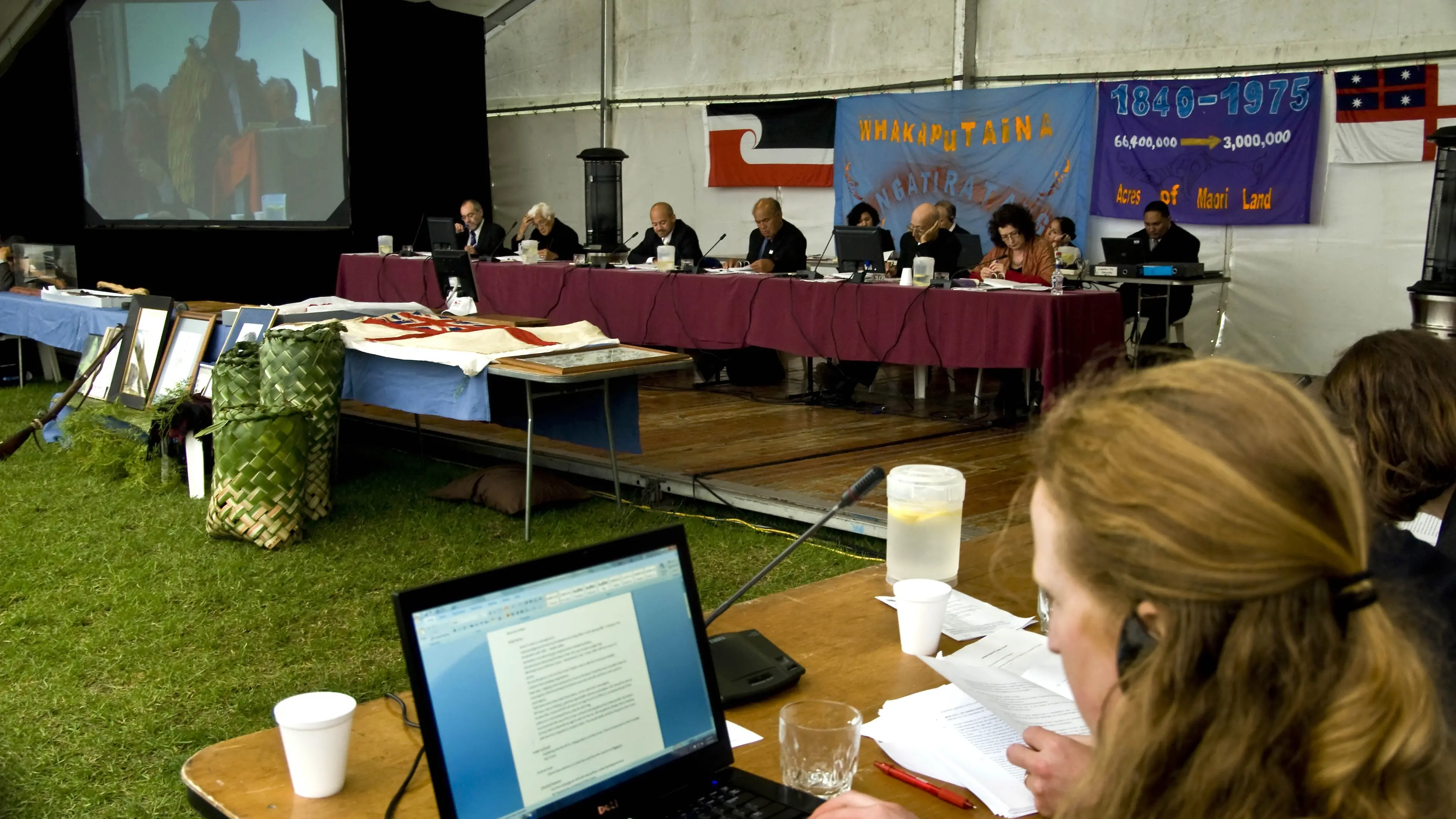 What is the future for the Waitangi Tribunal?
