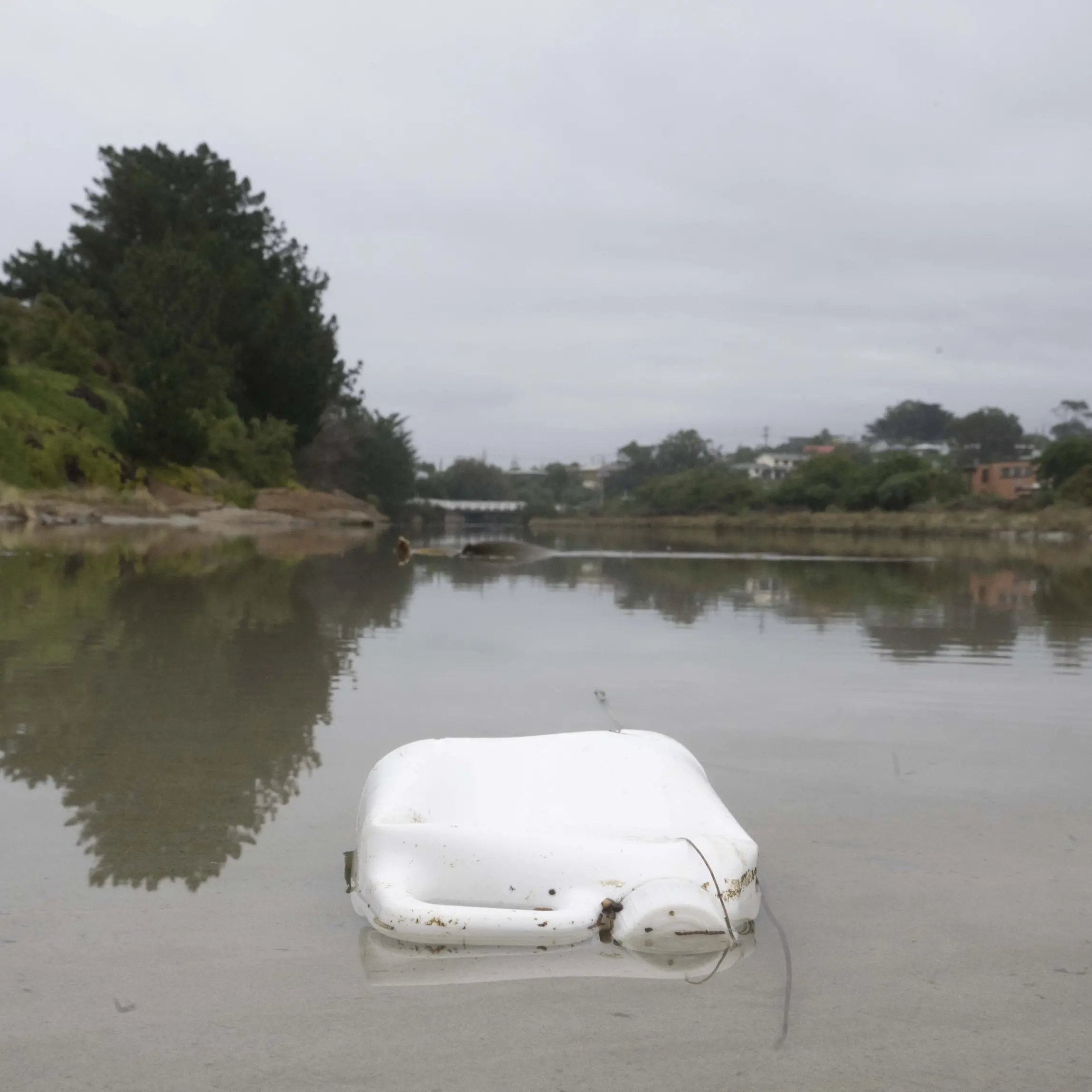 Otago rivers by and large ‘in really good state’