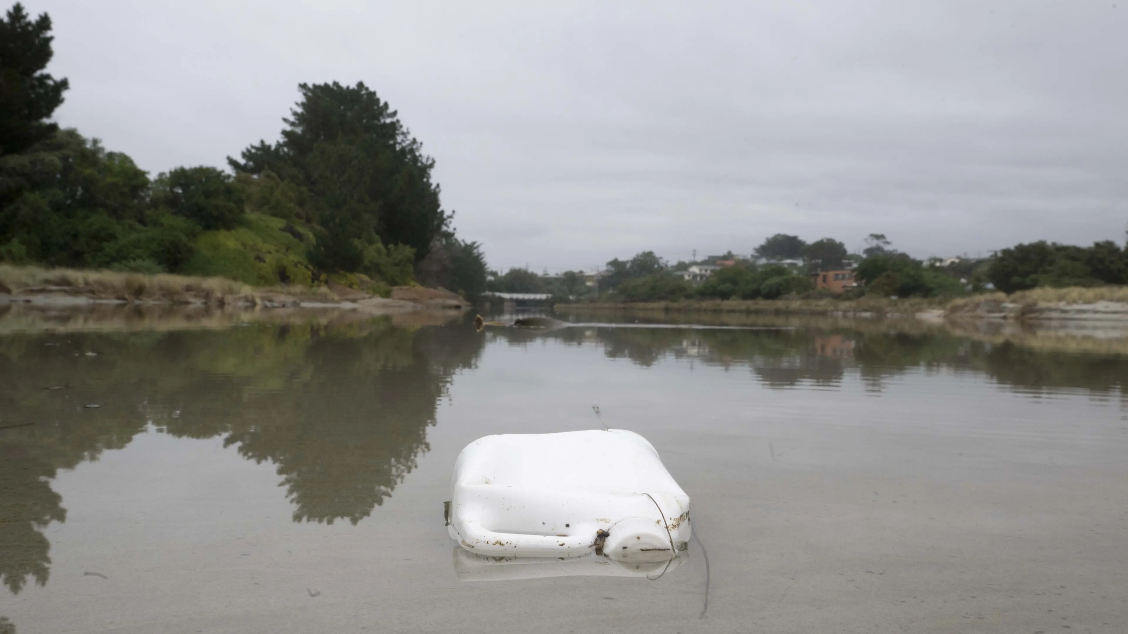 Otago rivers by and large ‘in really good state’