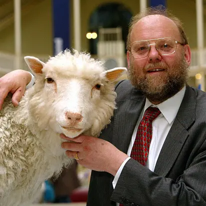 Getting to meet Dolly the ovine disrupter