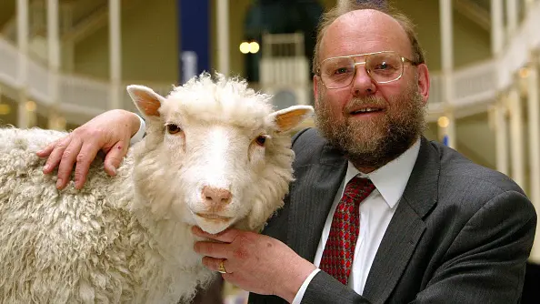 Getting to meet Dolly the ovine disrupter