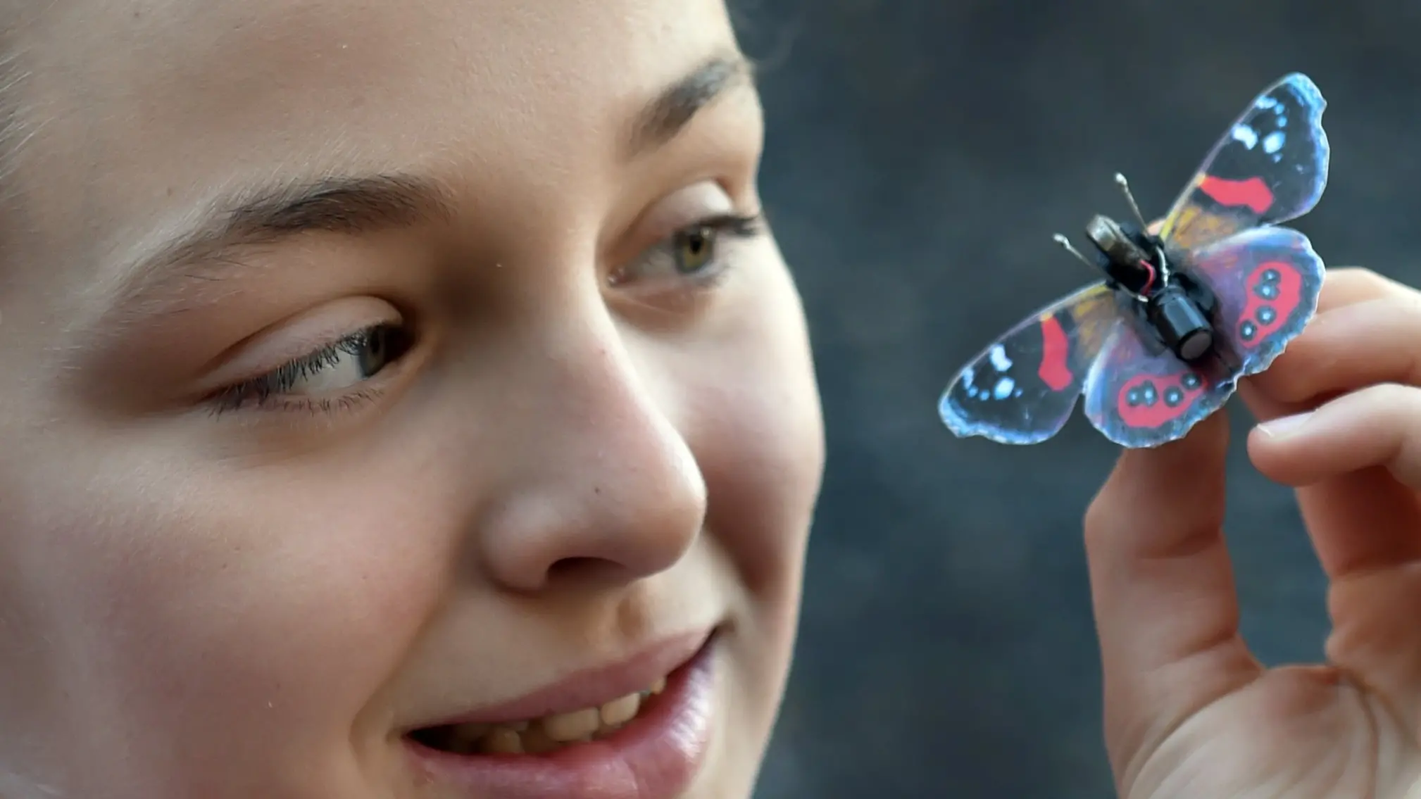 Children buzzed to make own robots at science fest