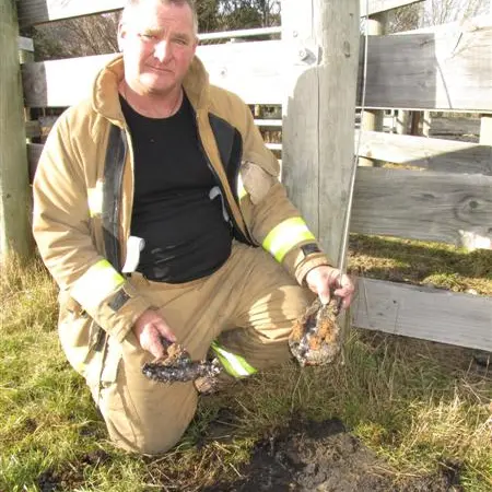 Powercut, fire sparked by cable