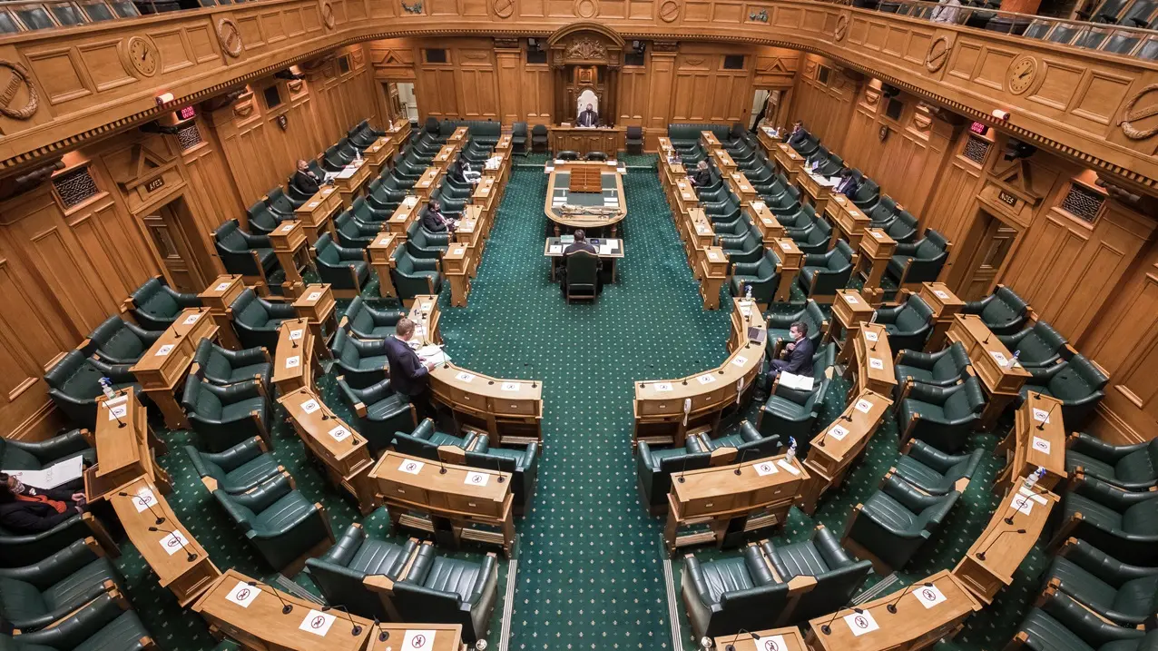 Parliament must be final arbiter on Treaty