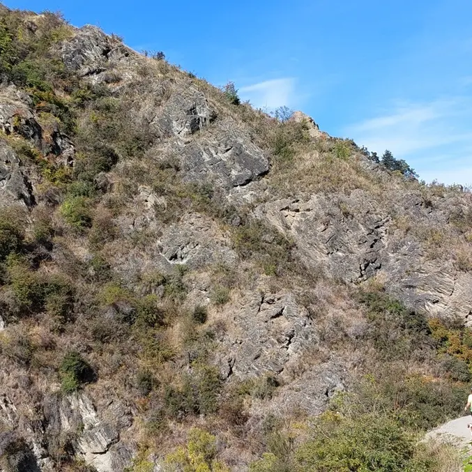 In Arrowtown’s isolation you’re seldom alone