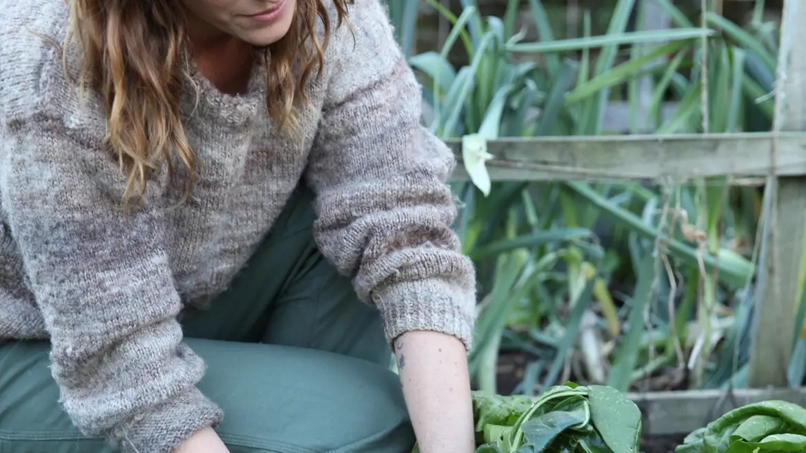 Super soups to warm the heart