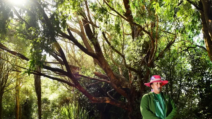 Working with nature key in crisis