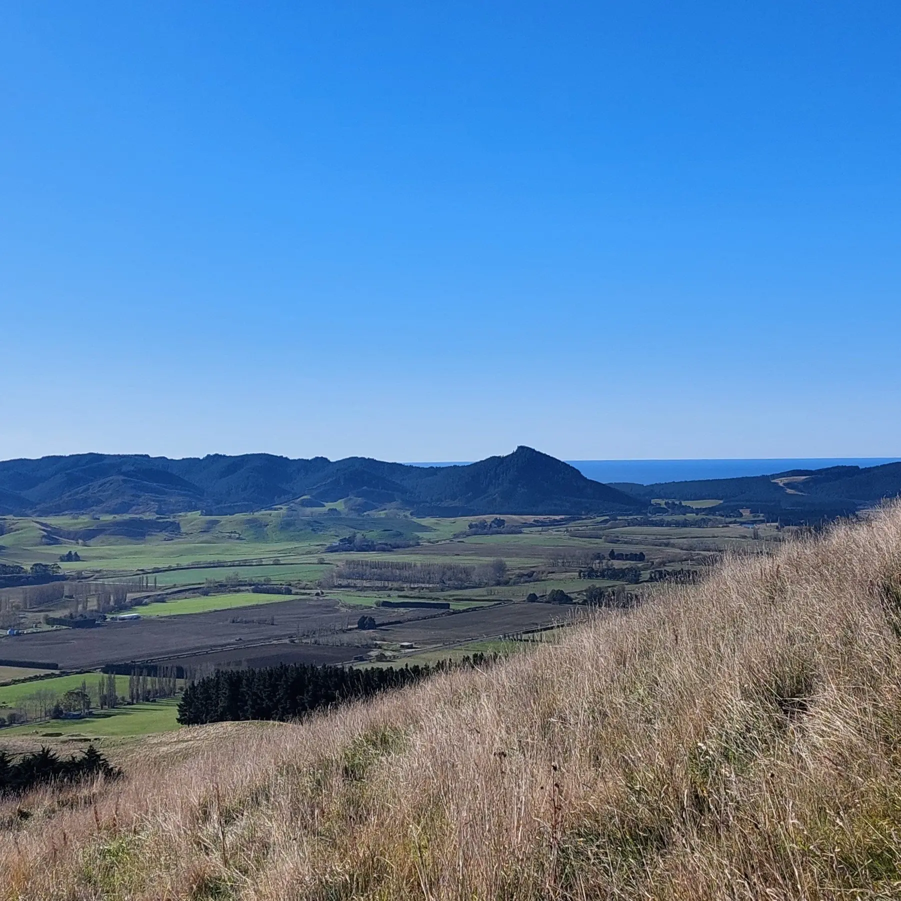 Puketapu puts it in perspective