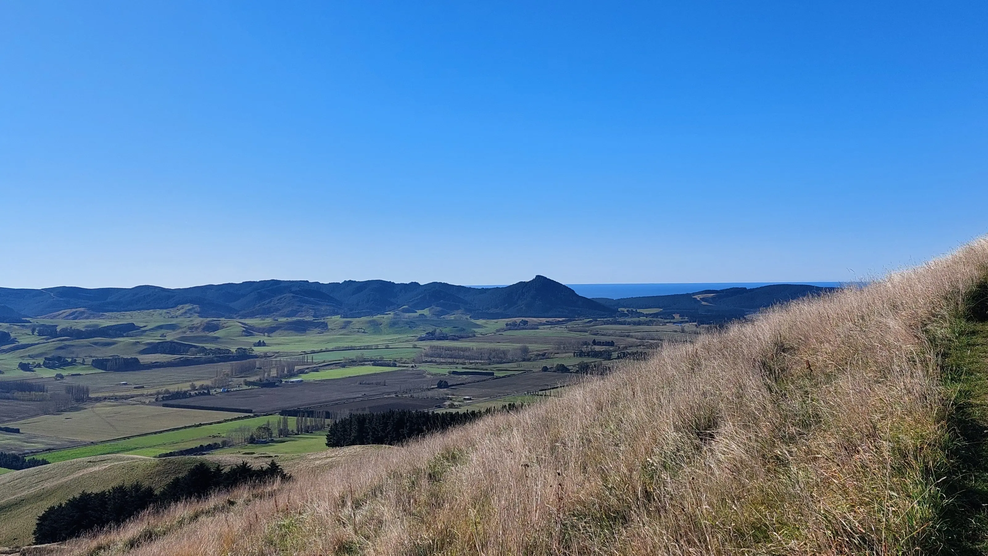 Puketapu puts it in perspective