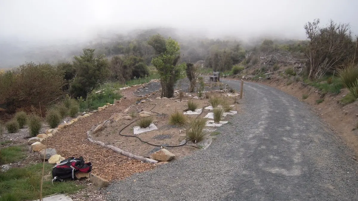 Regeneration reaches new heights