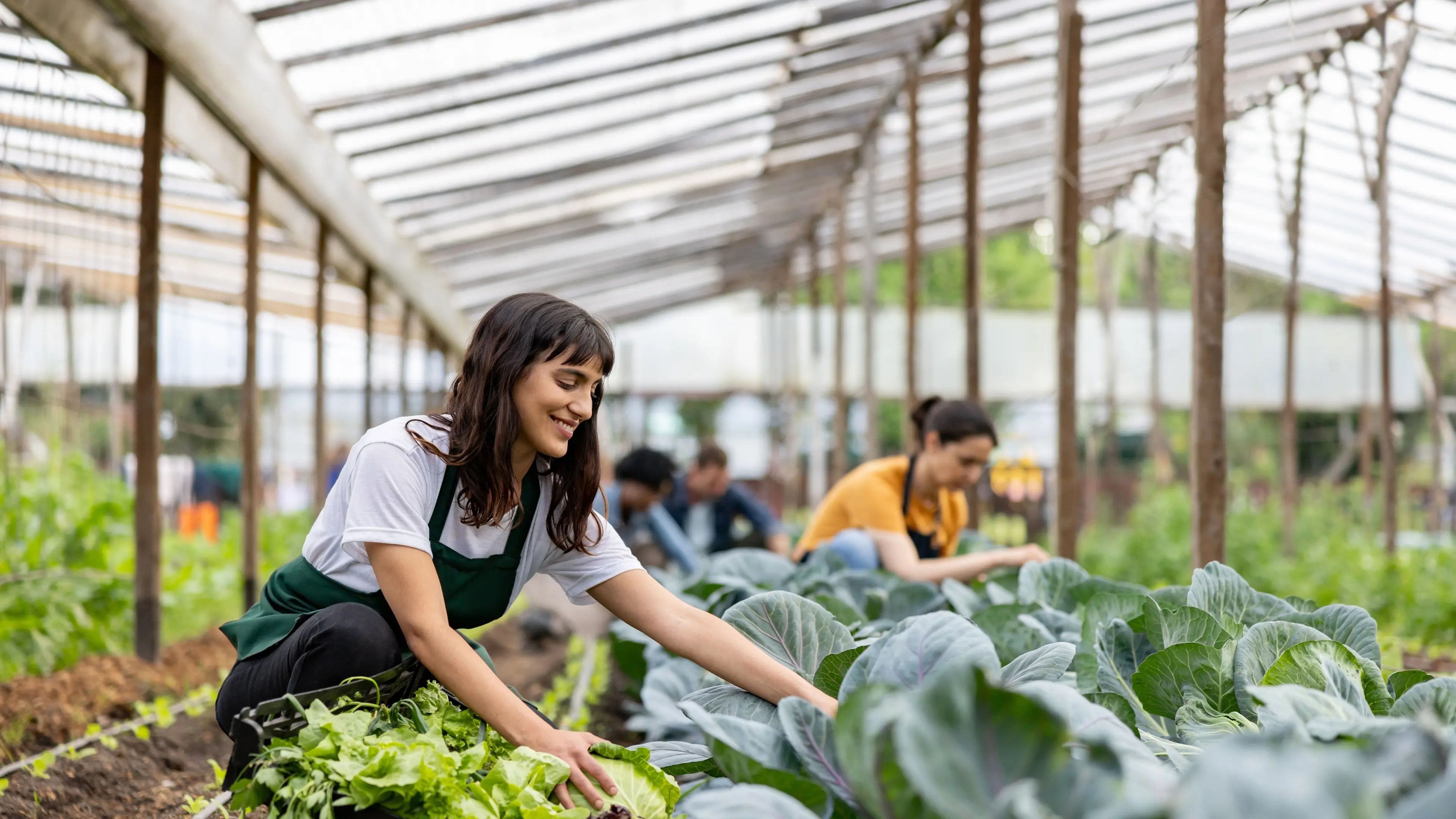 Sowing the seeds of a healthier economy